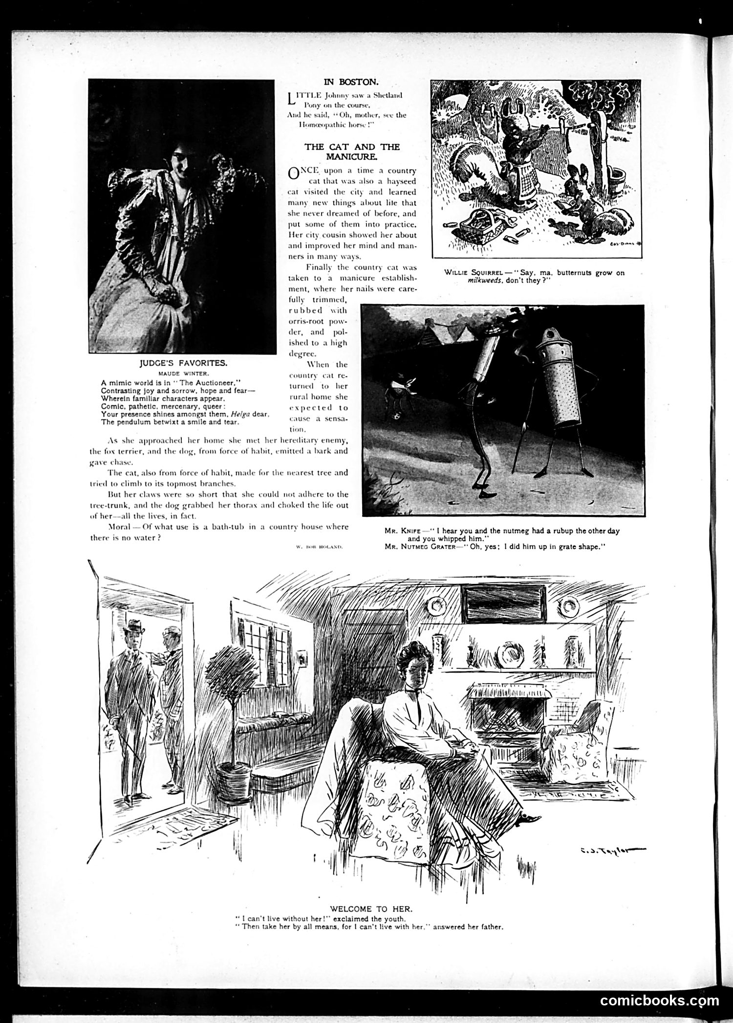 Judge — November 23, 1901 — page 4 of 18
