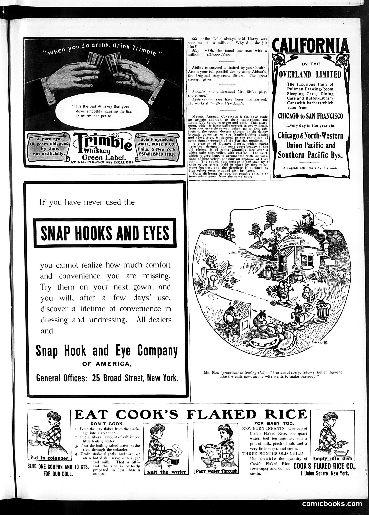 Judge — November 23, 1901 — page 13 of 18