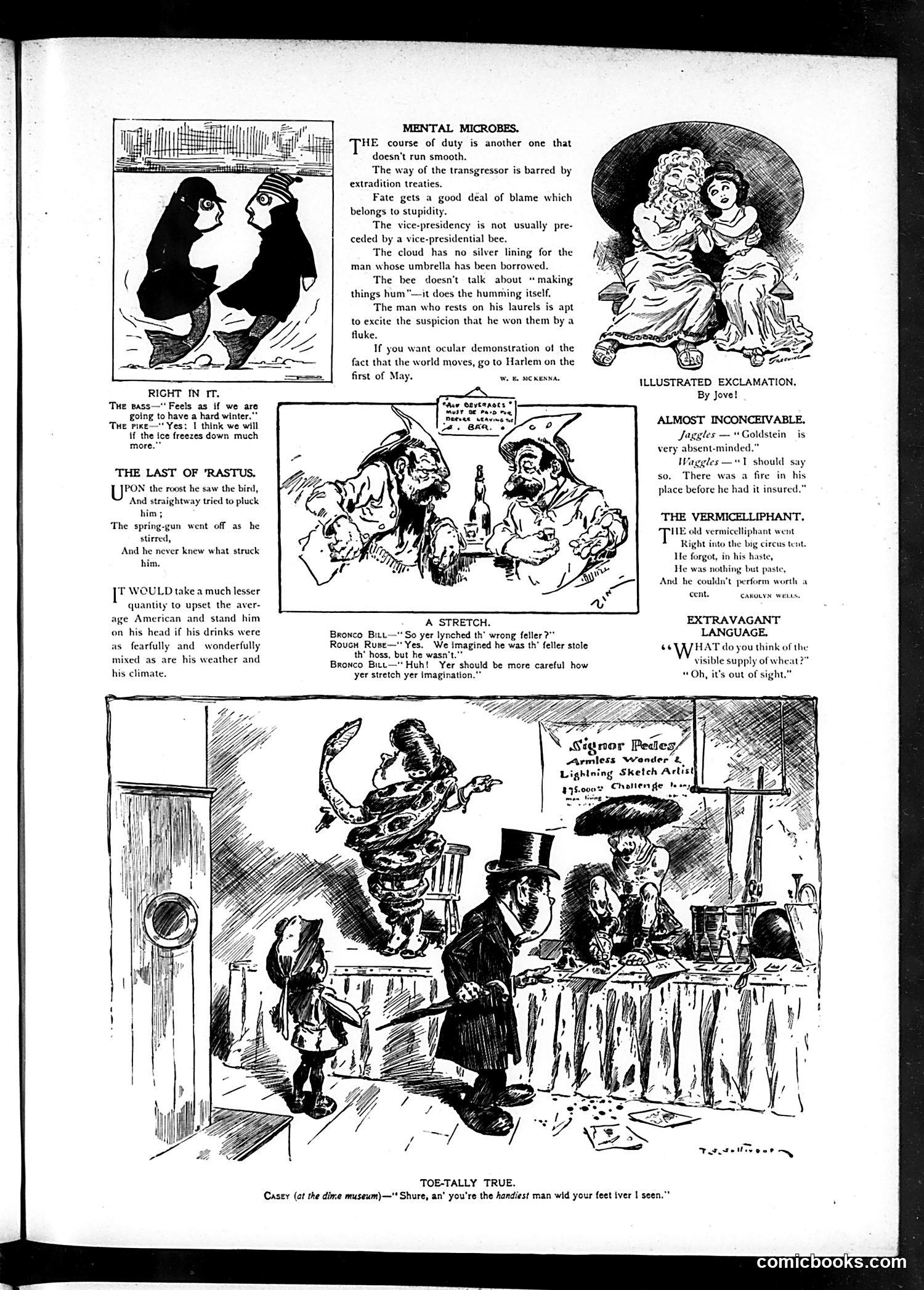 Judge — December 7, 1901 — page 3 of 16