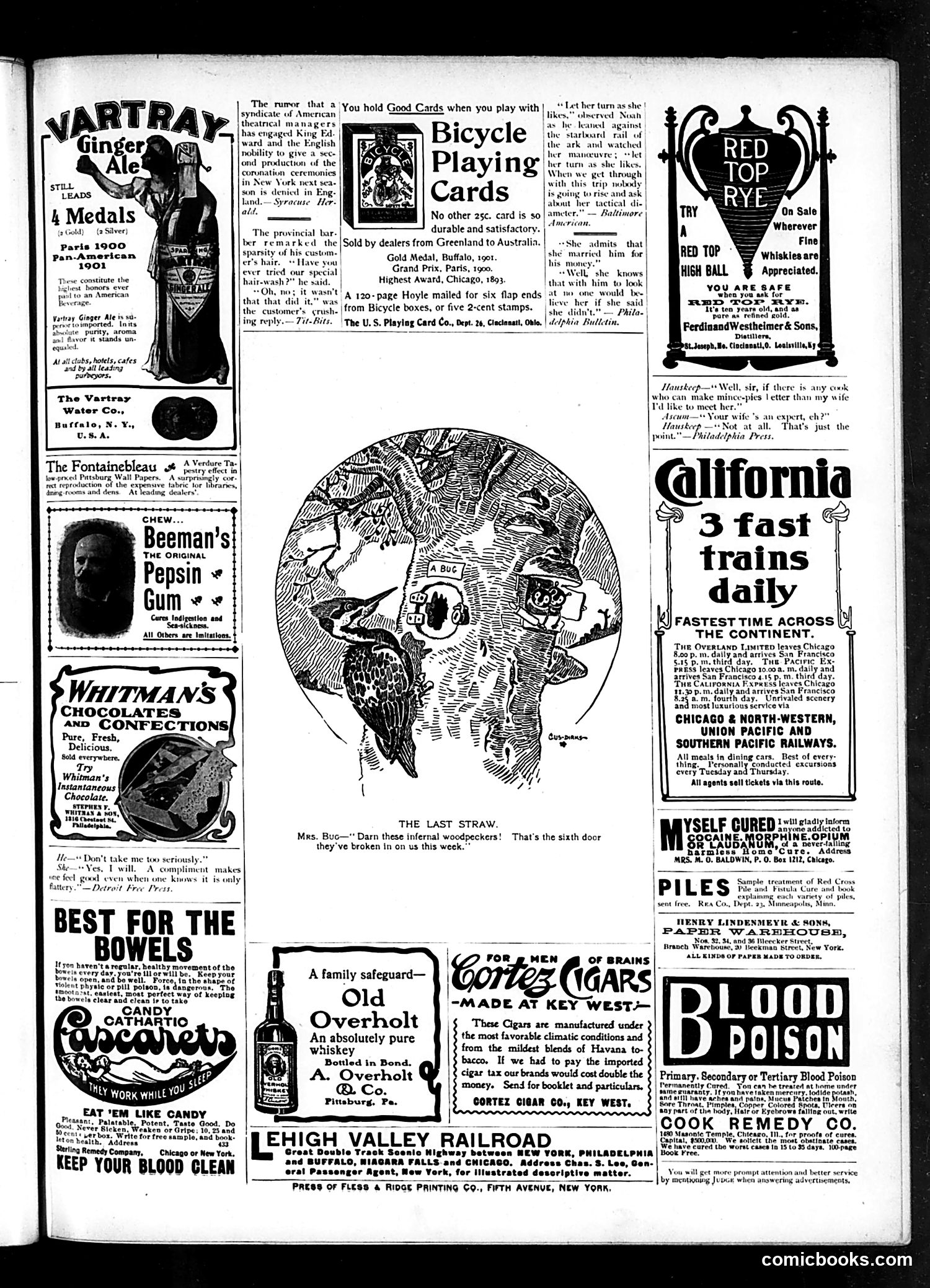 Judge — January 11, 1902 — page 15 of 16