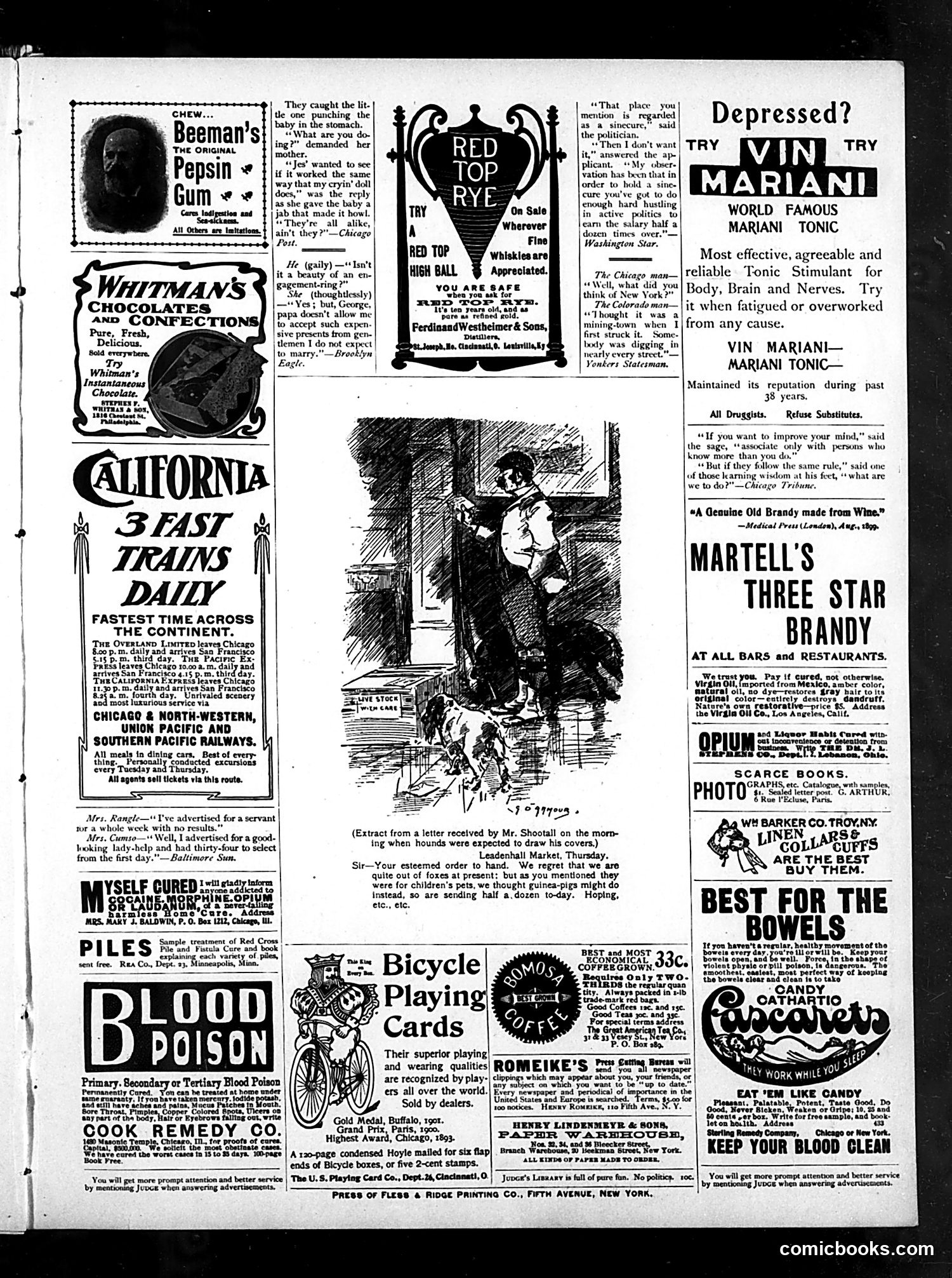 Judge — January 25, 1902 — page 15 of 16