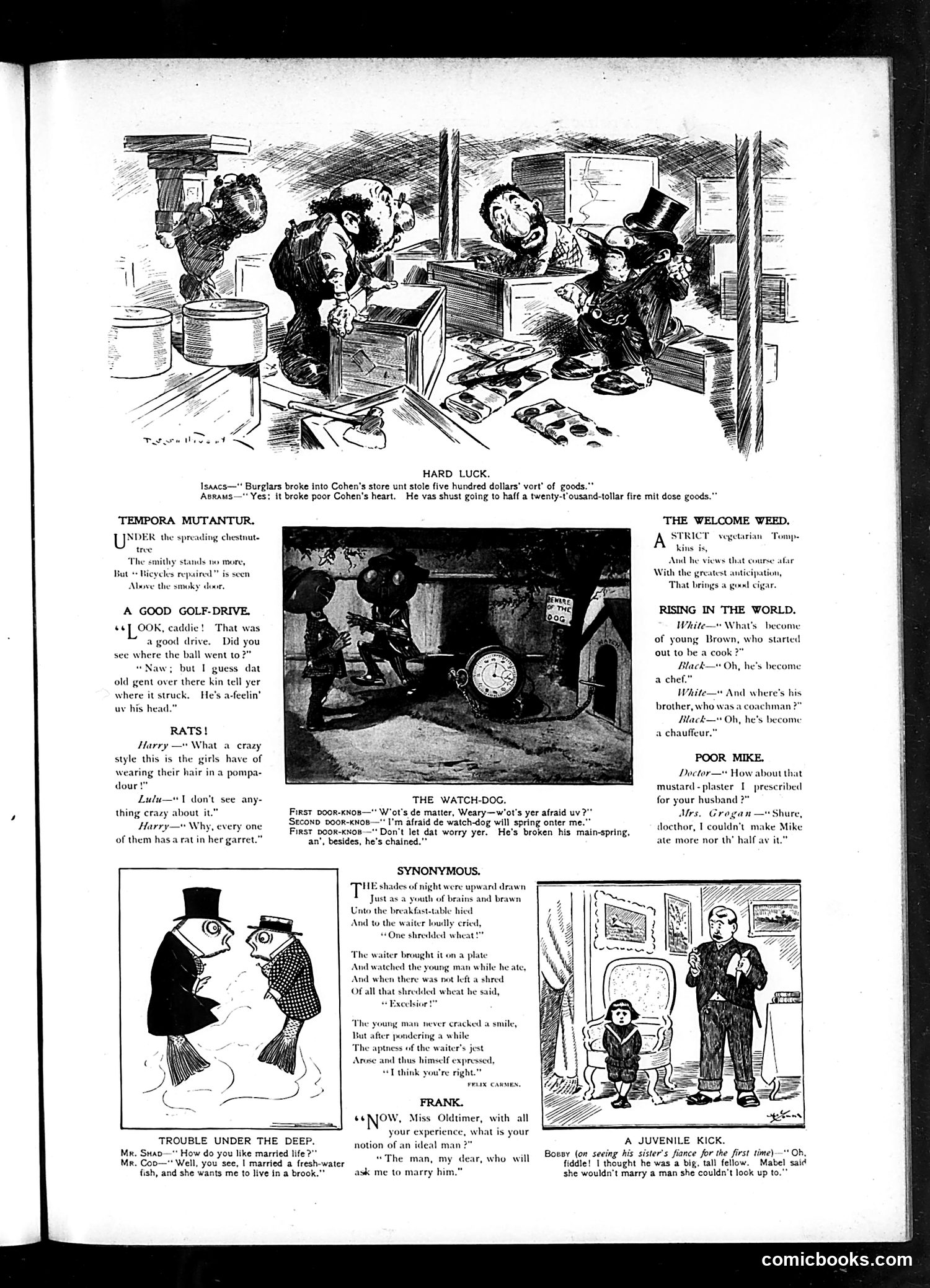 Judge — May 31, 1902 — page 3 of 16