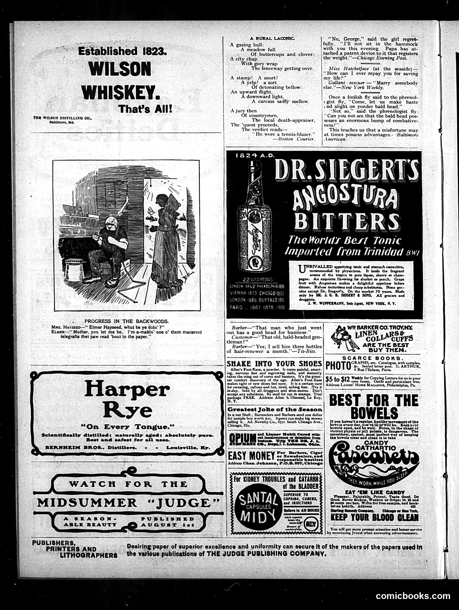 Judge — August 2, 1902 — page 12 of 16