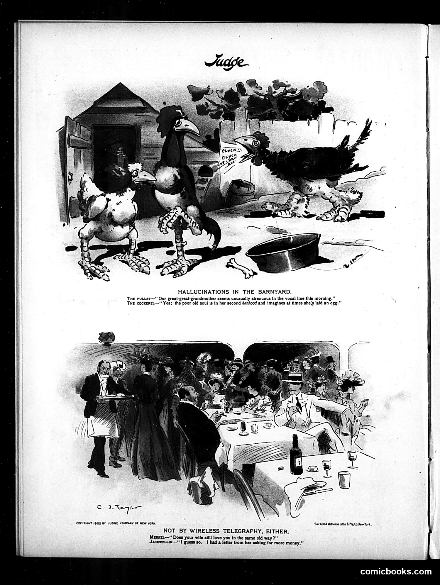 Judge — August 23, 1902 — page 16 of 16