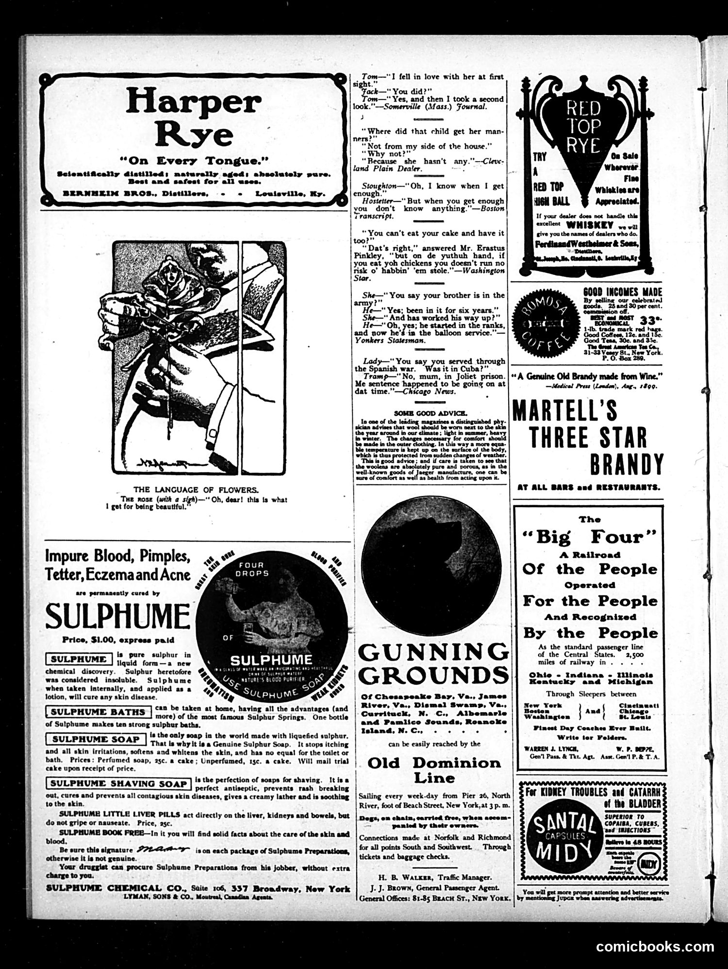 Judge — October 25, 1902 — page 14 of 16