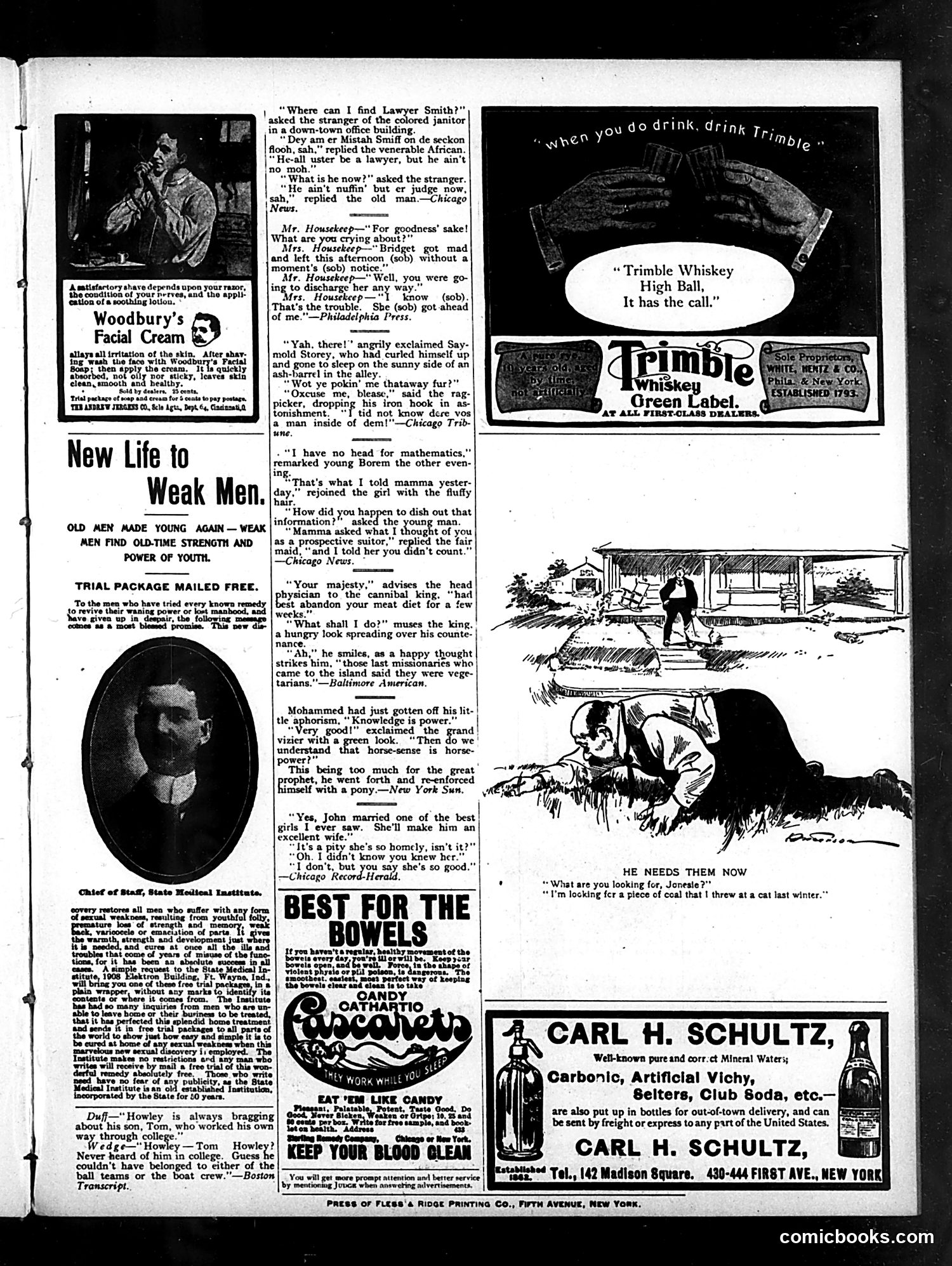 Judge — October 25, 1902 — page 15 of 16