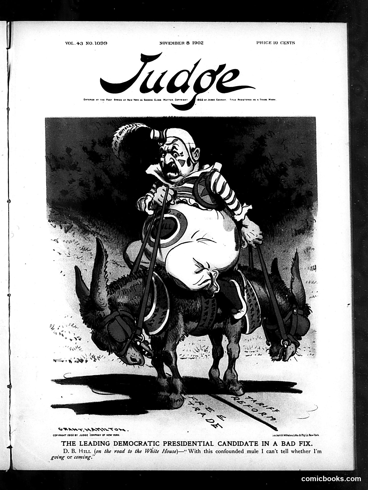 Judge — November 8, 1902