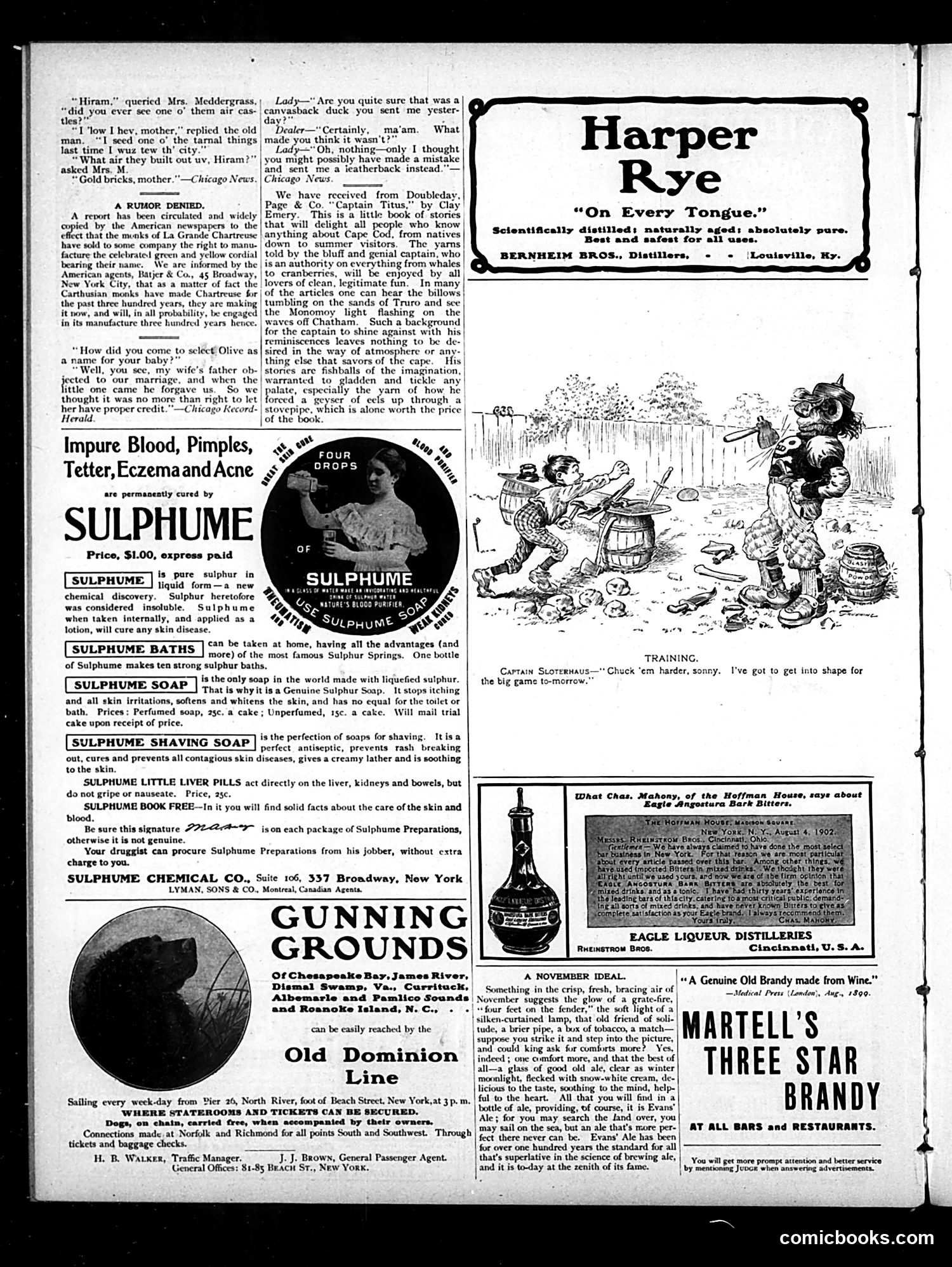 Judge — November 8, 1902 — page 14 of 16