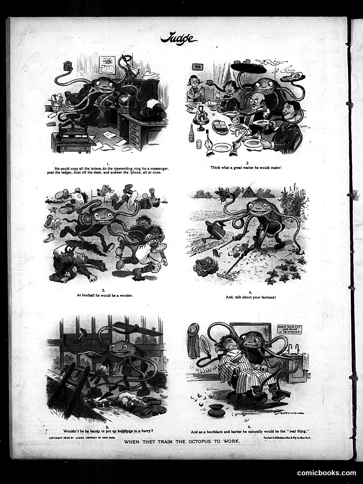 Judge — November 22, 1902 — page 16 of 16