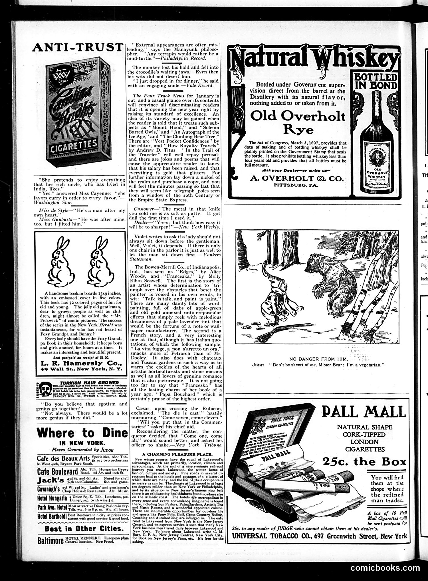 Judge — January 10, 1903 — page 14 of 16
