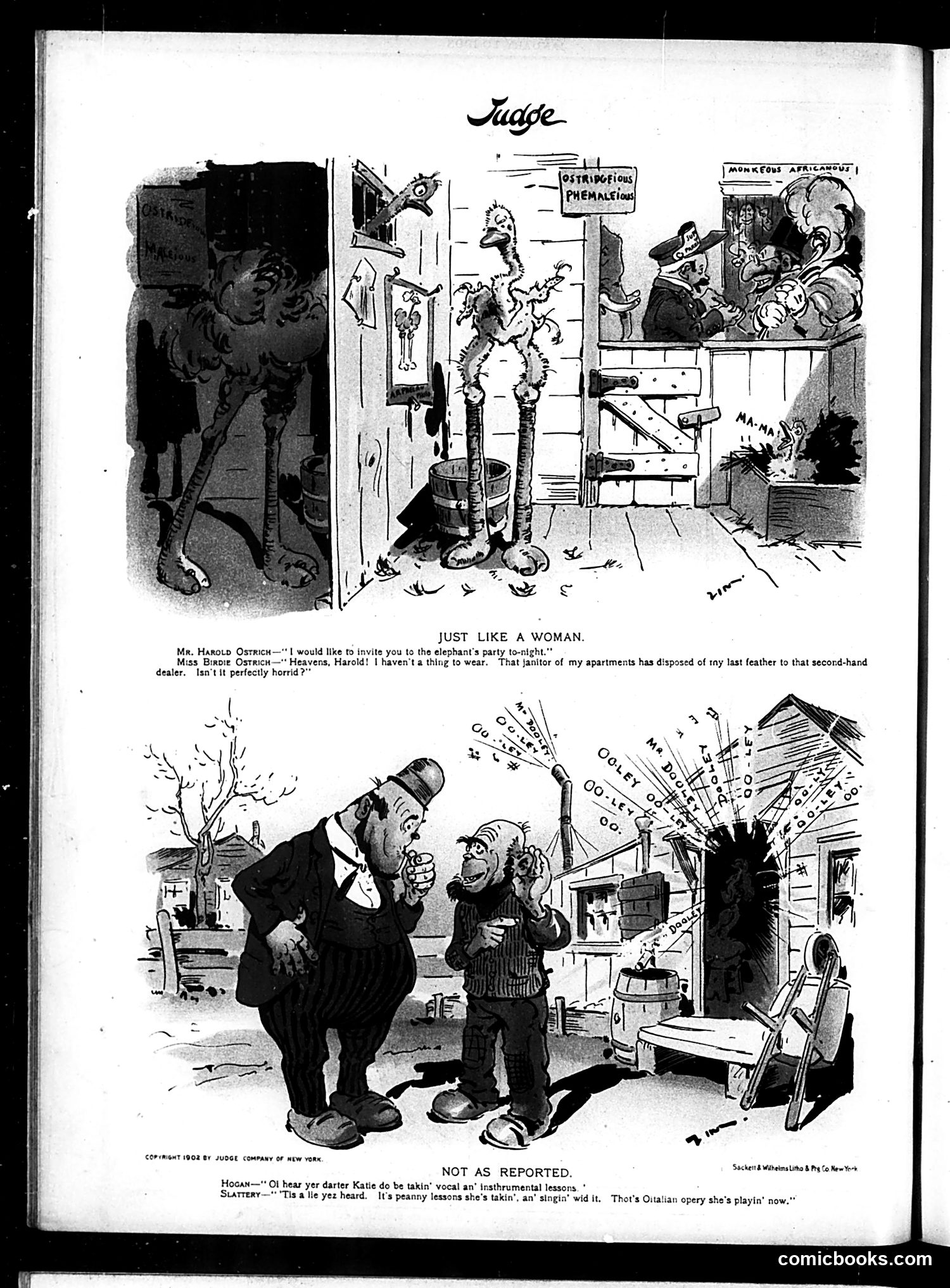Judge — January 10, 1903 — page 16 of 16