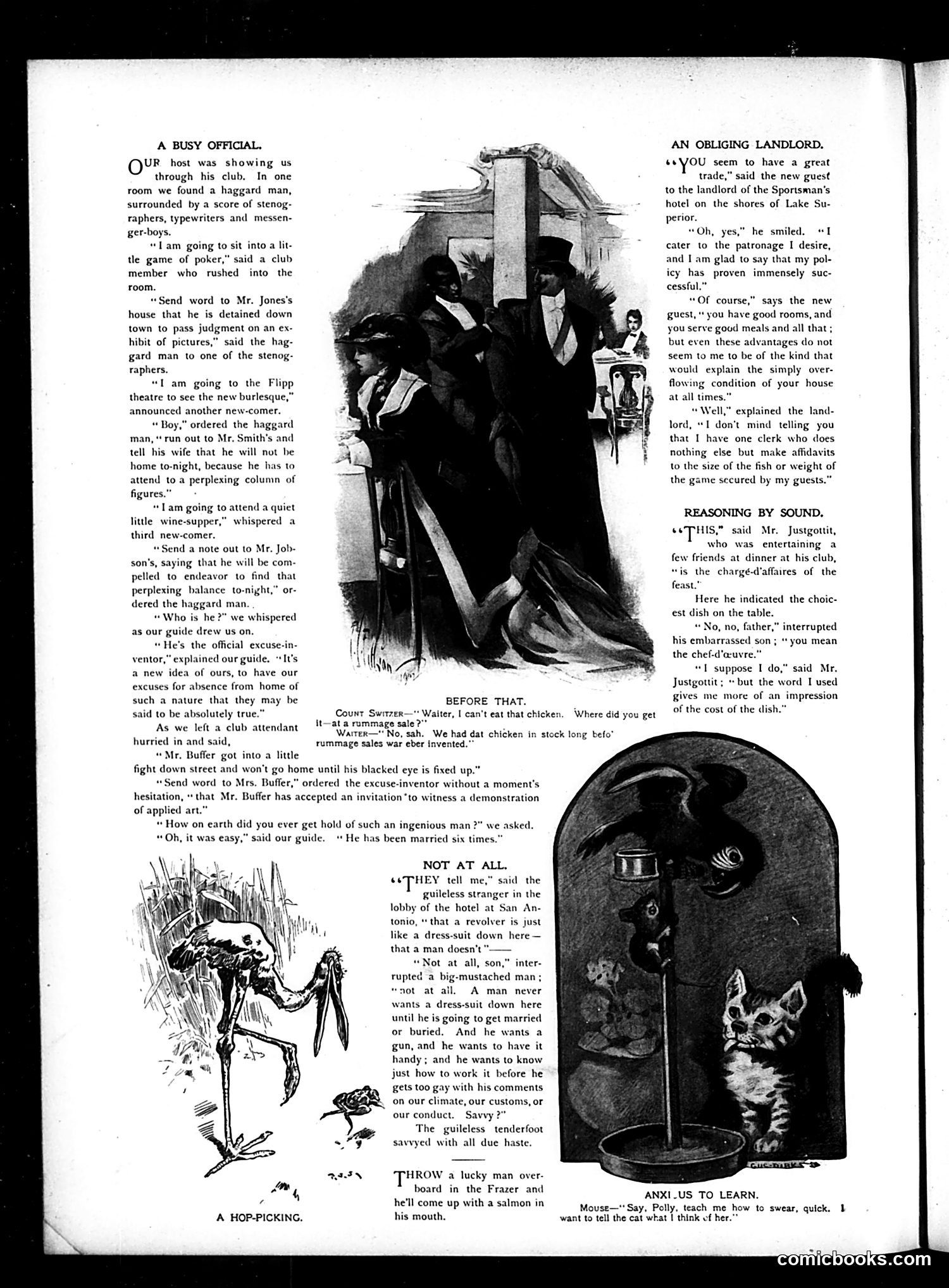 Judge — February 7, 1903 — page 10 of 24