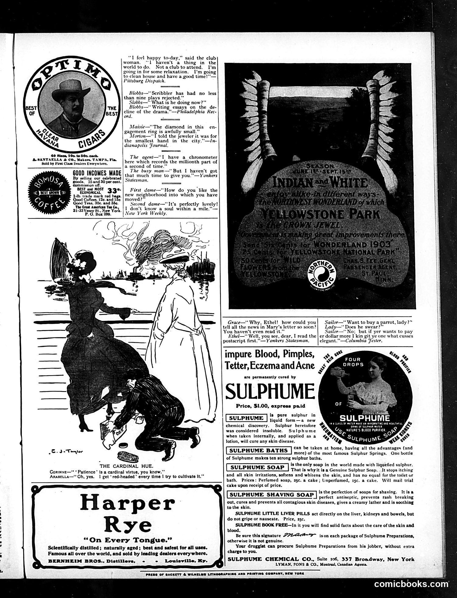Judge — May 23, 1903 — page 15 of 18