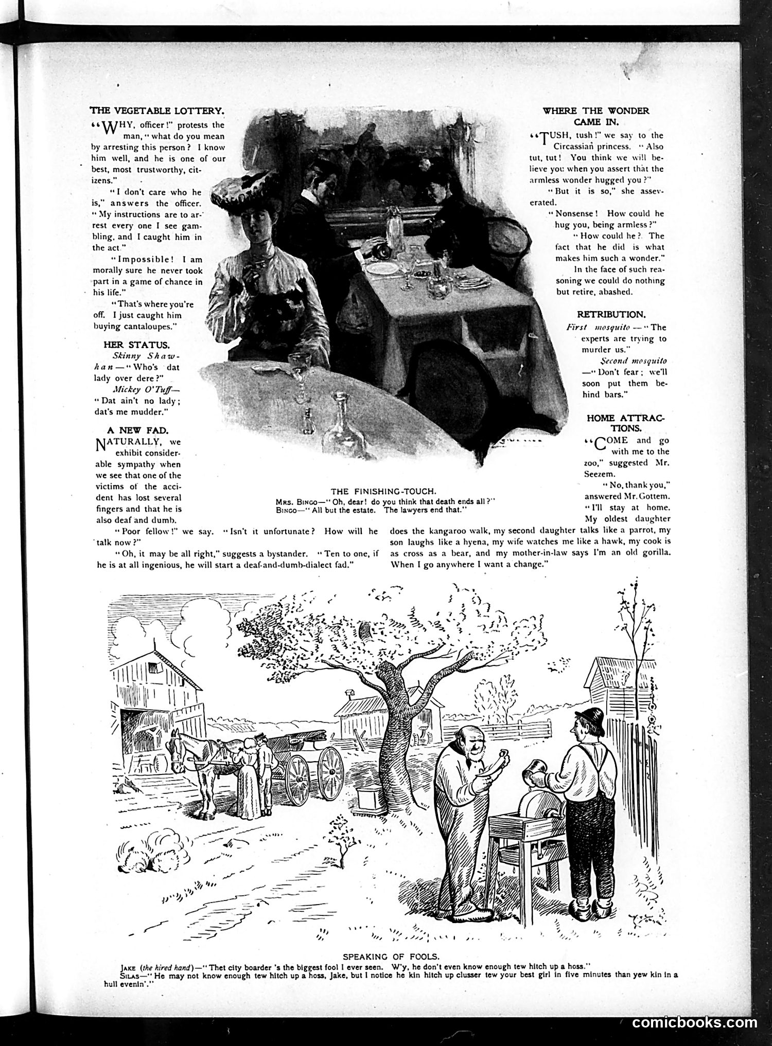 Judge — June 13, 1903 — page 3 of 16