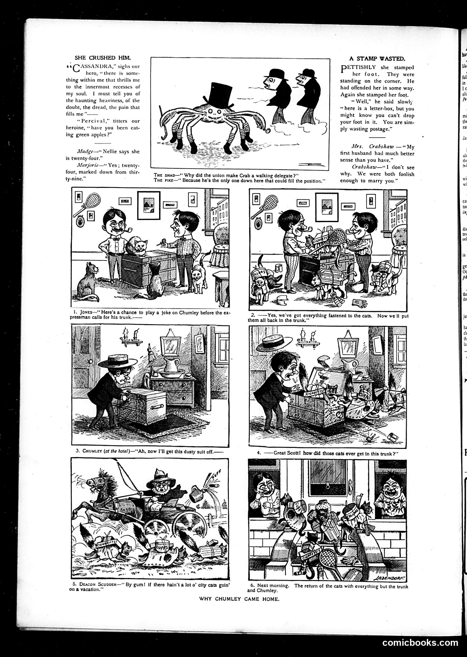 Judge — July 18, 1903 — page 10 of 16
