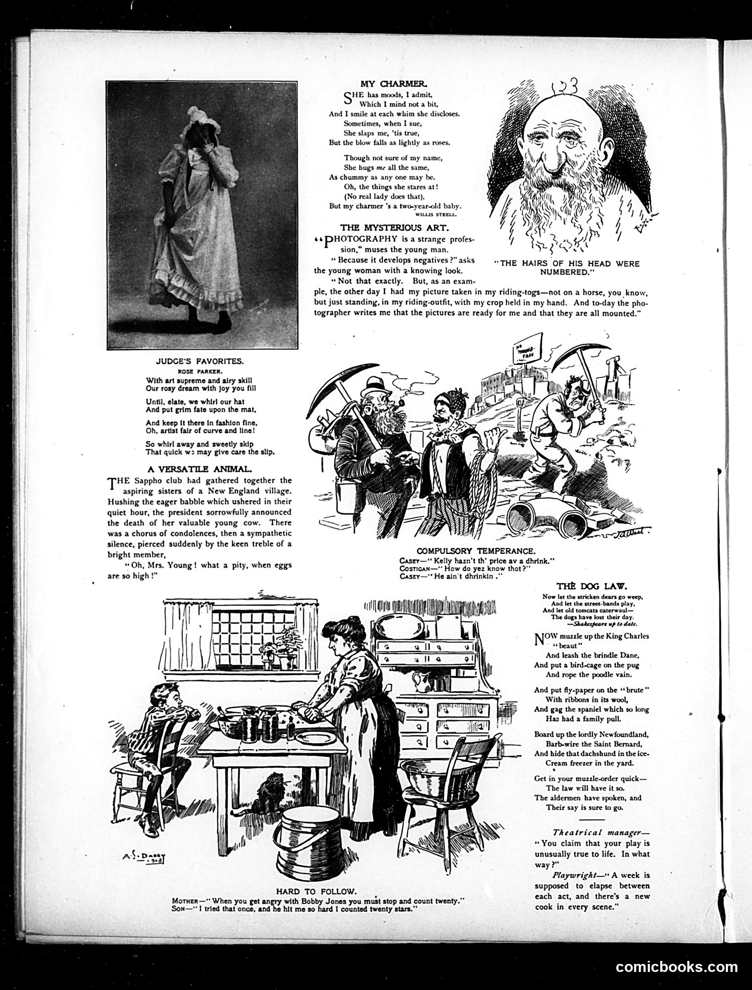 Judge — August 1, 1903 — page 4 of 16