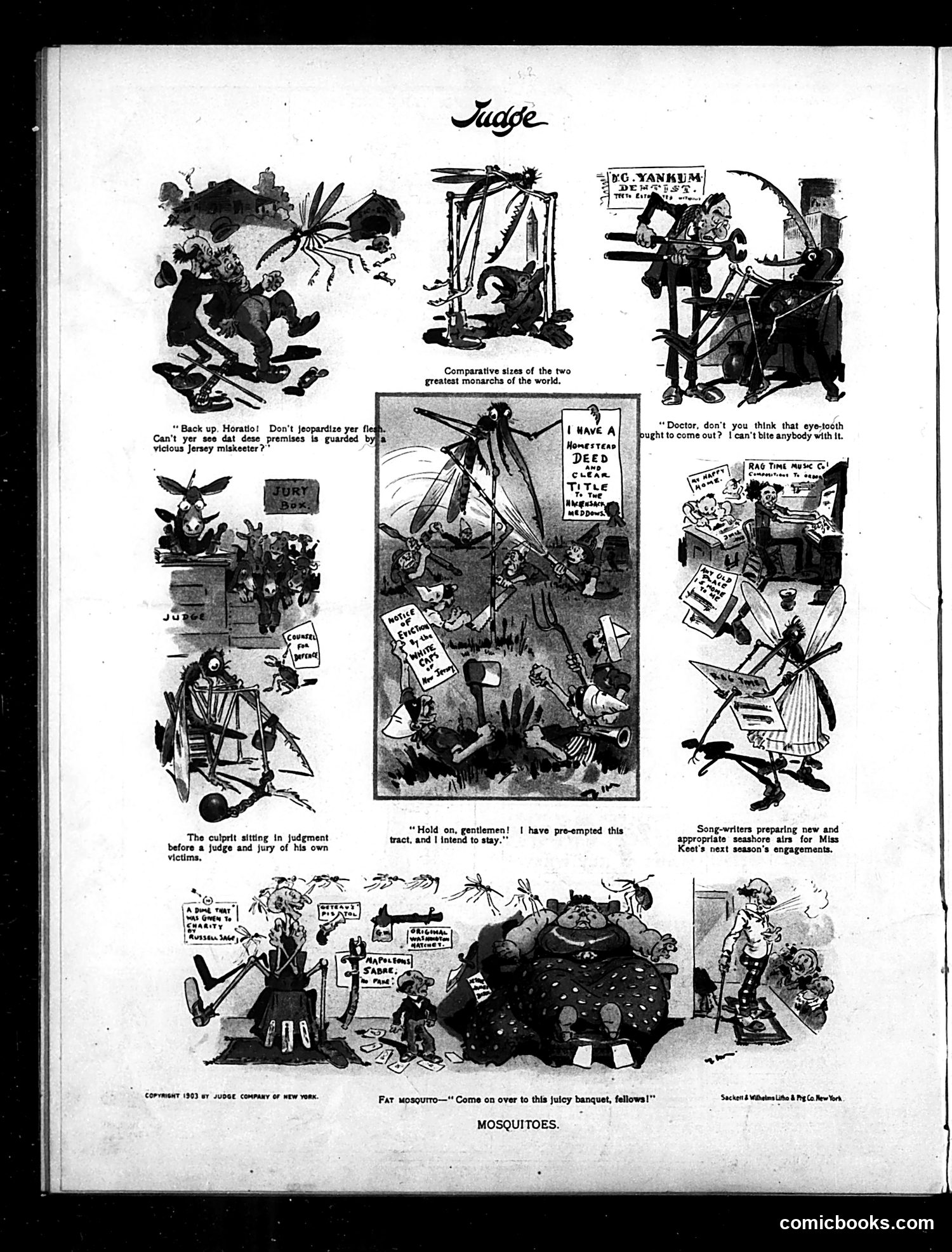 Judge — October 17, 1903 — page 16 of 16