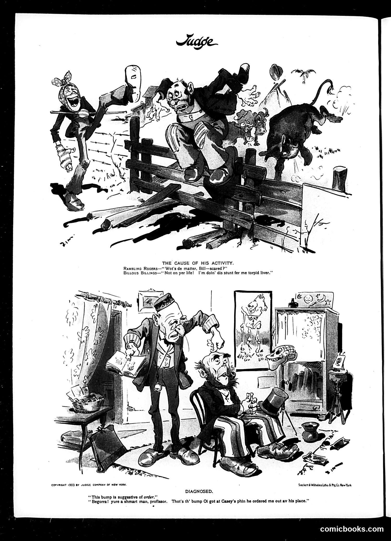 Judge — January 16, 1904 — page 16 of 16