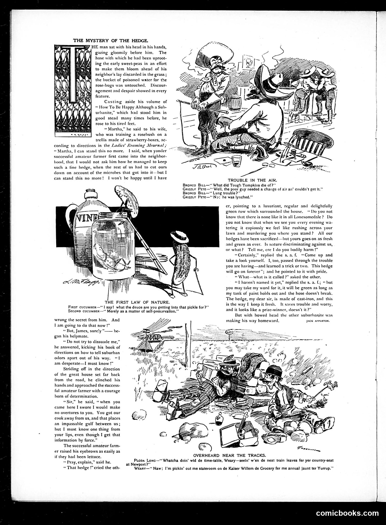 Judge — July 16, 1904 — page 14 of 20