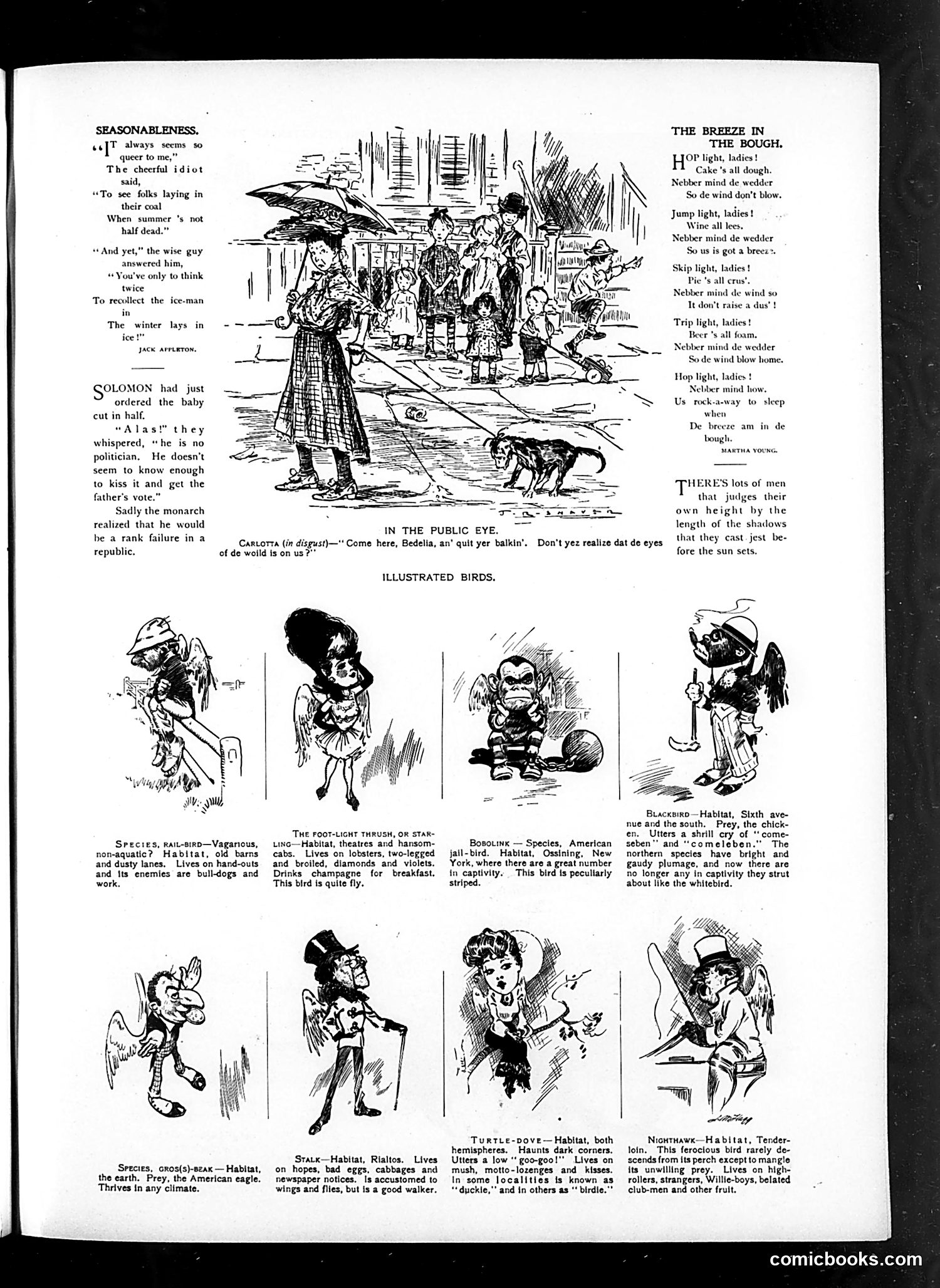 Judge — September 24, 1904 — page 3 of 16