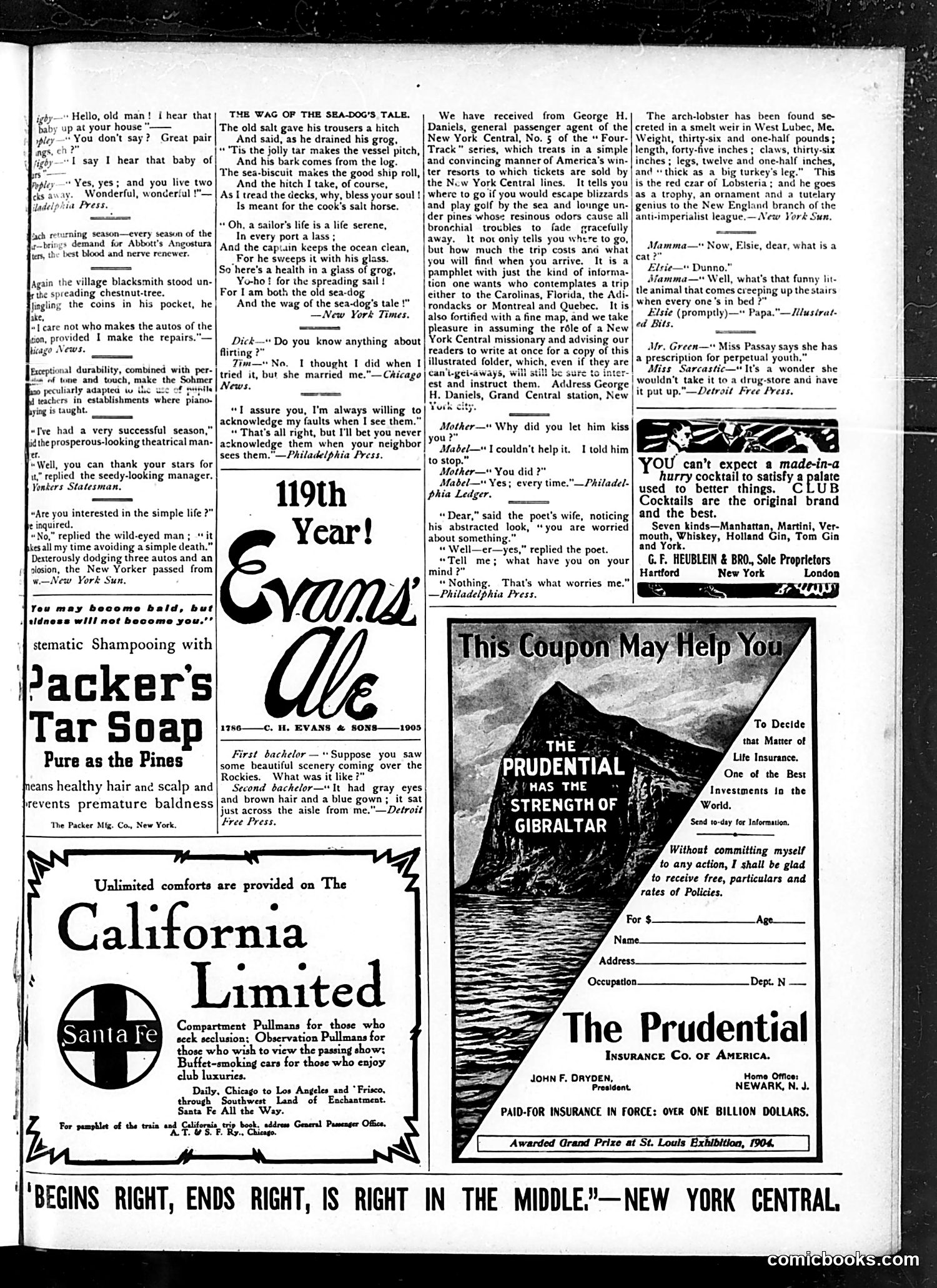Judge — December 31, 1904 — page 15 of 21