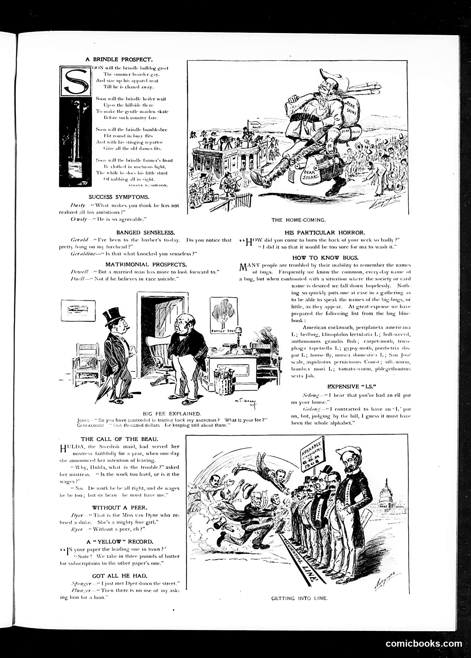 Judge — May 20, 1905 — page 3 of 16