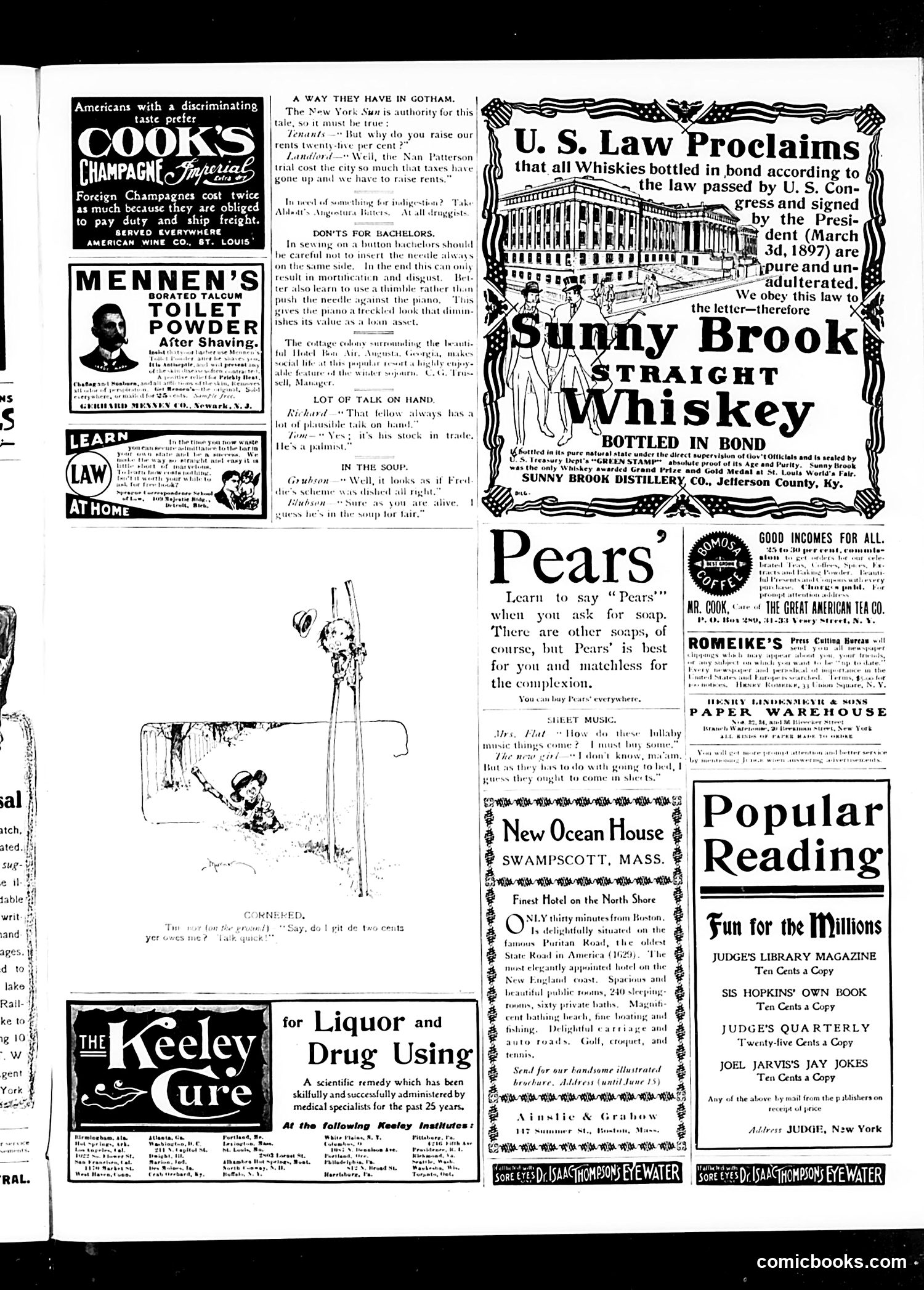 Judge — June 10, 1905 — page 15 of 16