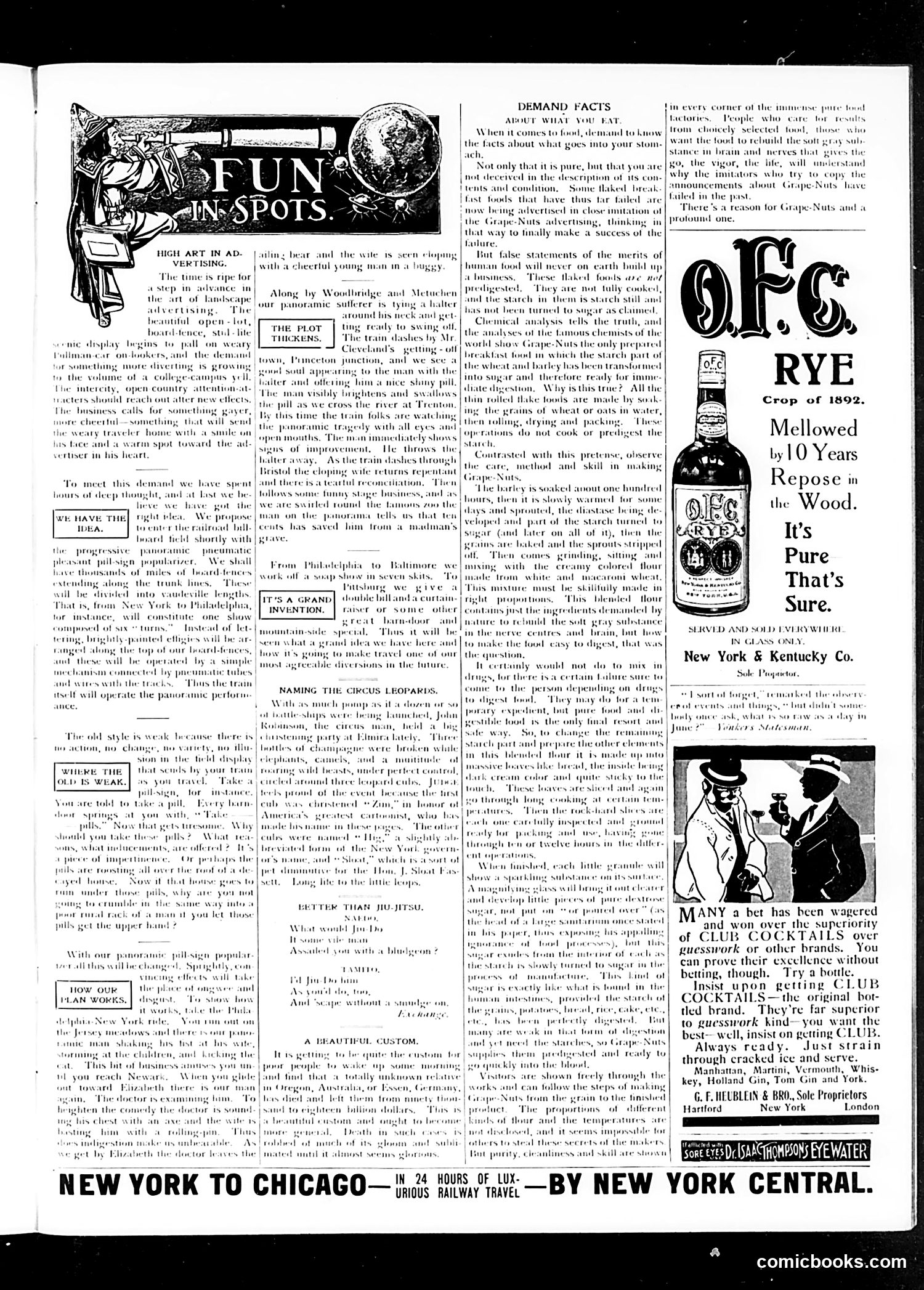 Judge — June 24, 1905 — page 11 of 17
