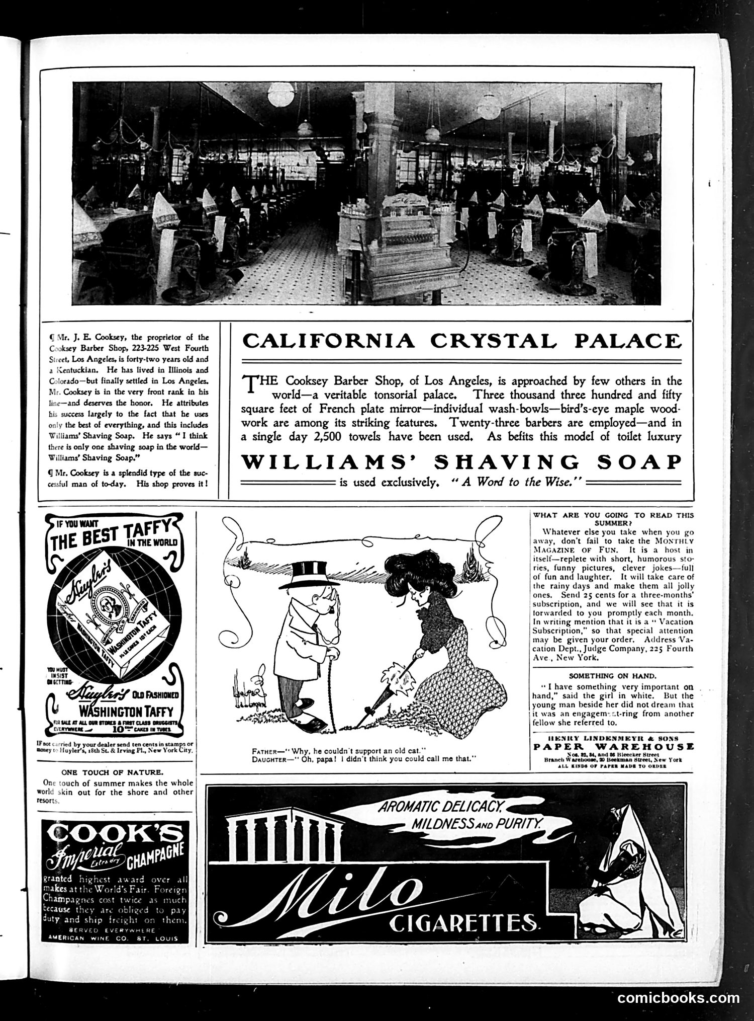 Judge — July 1, 1905 — page 13 of 16