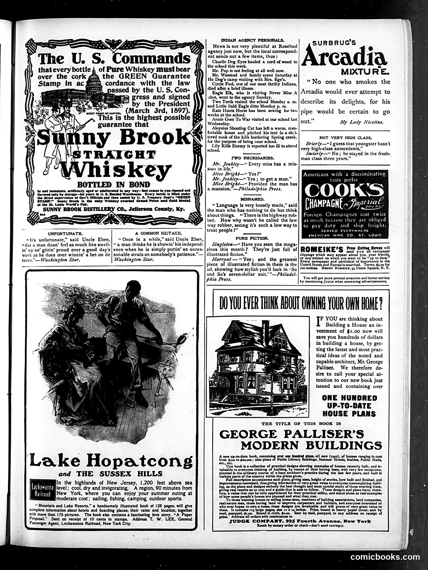 Judge — July 8, 1905 — page 17 of 20