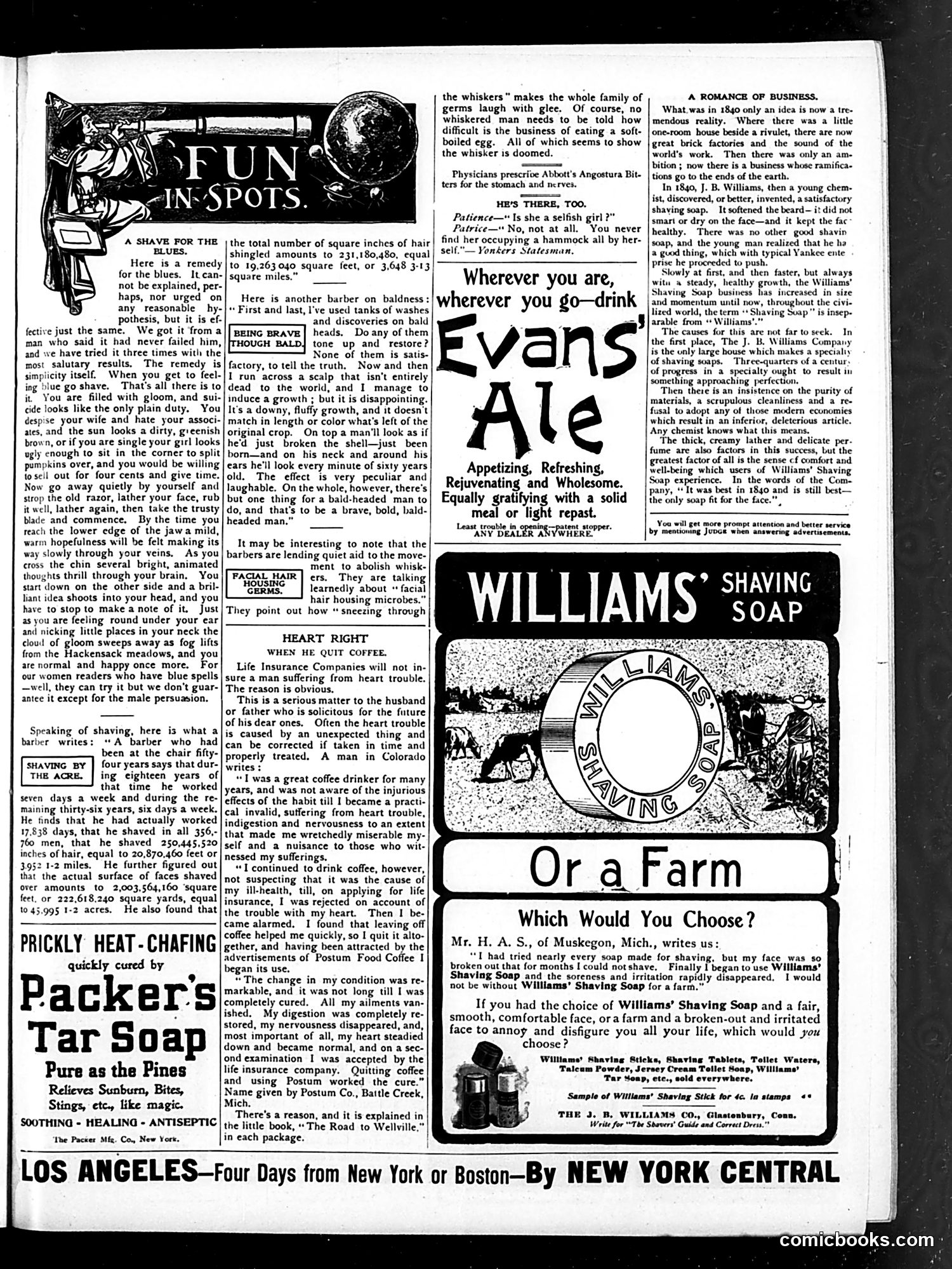 Judge — August 19, 1905 — page 11 of 16