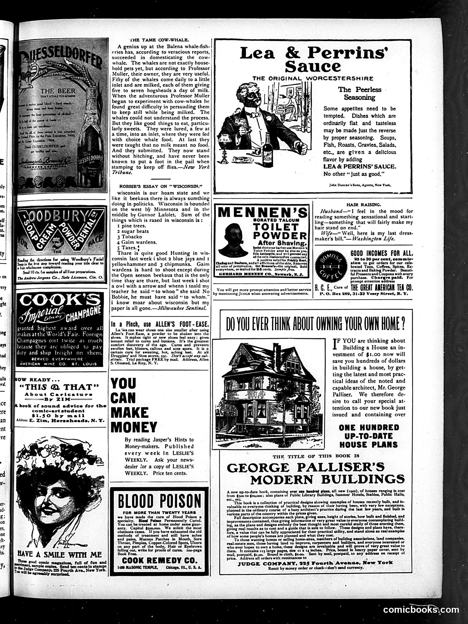 Judge — August 26, 1905 — page 15 of 16