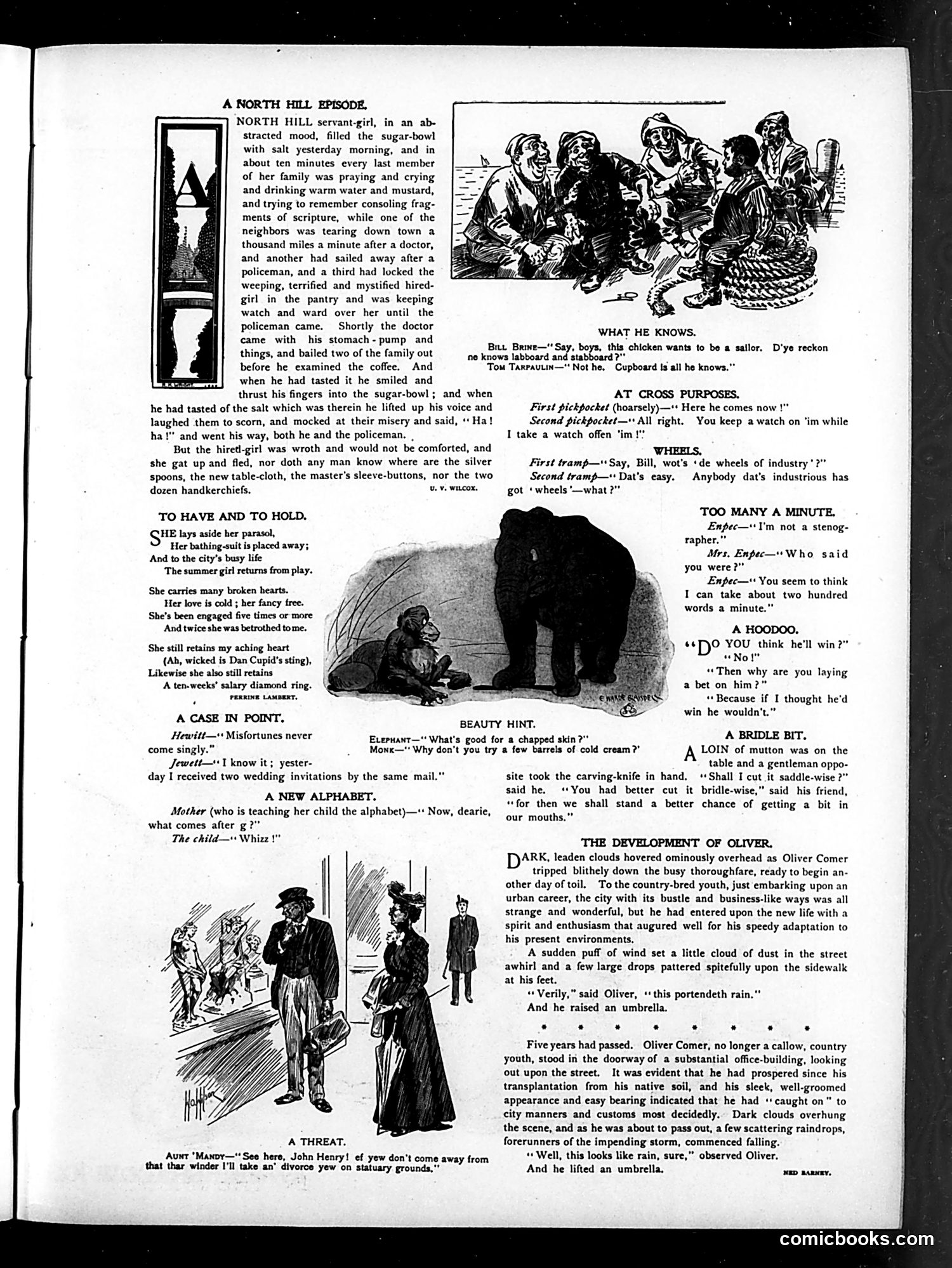 Judge — September 16, 1905 — page 7 of 16