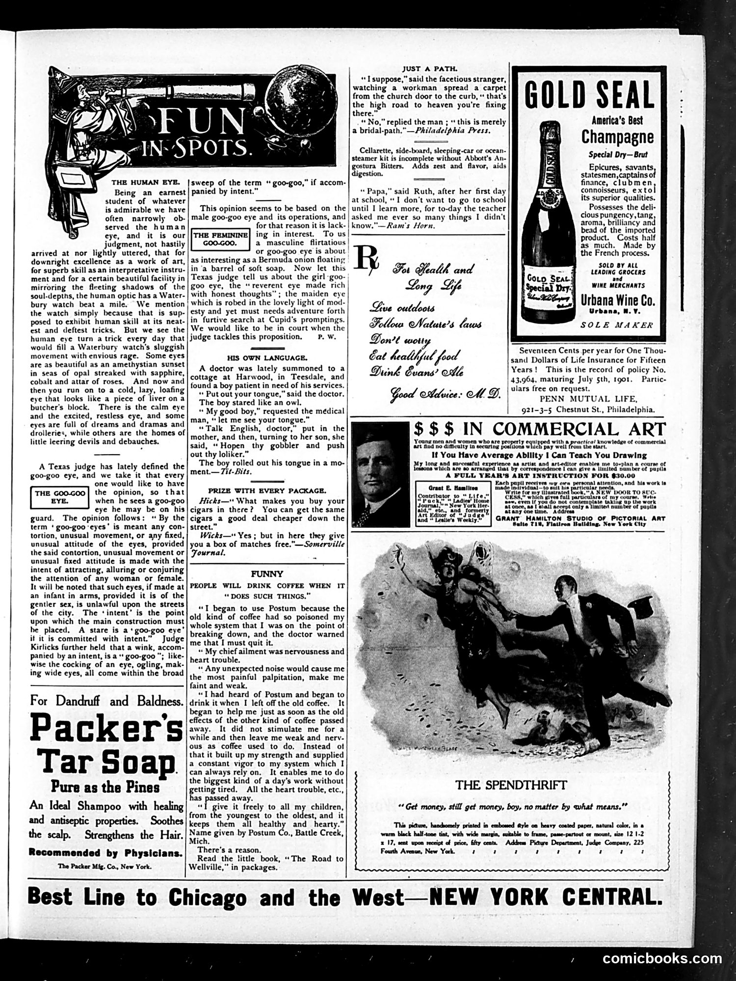 Judge — November 4, 1905 — page 11 of 16