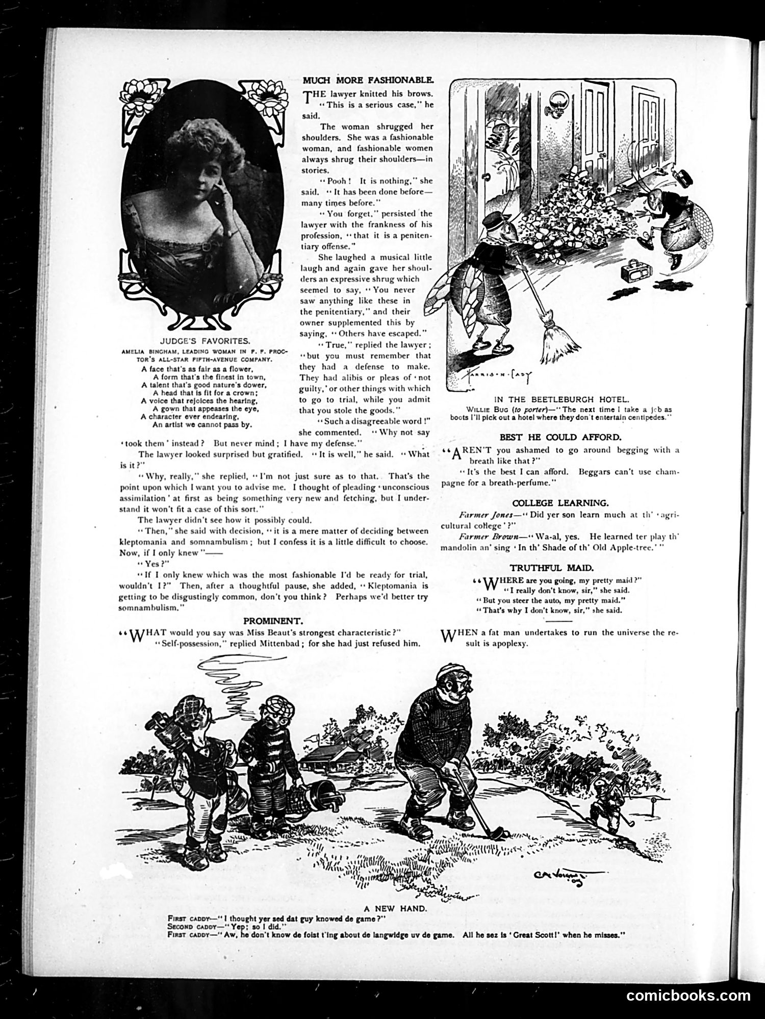 Judge — November 11, 1905 — page 4 of 16