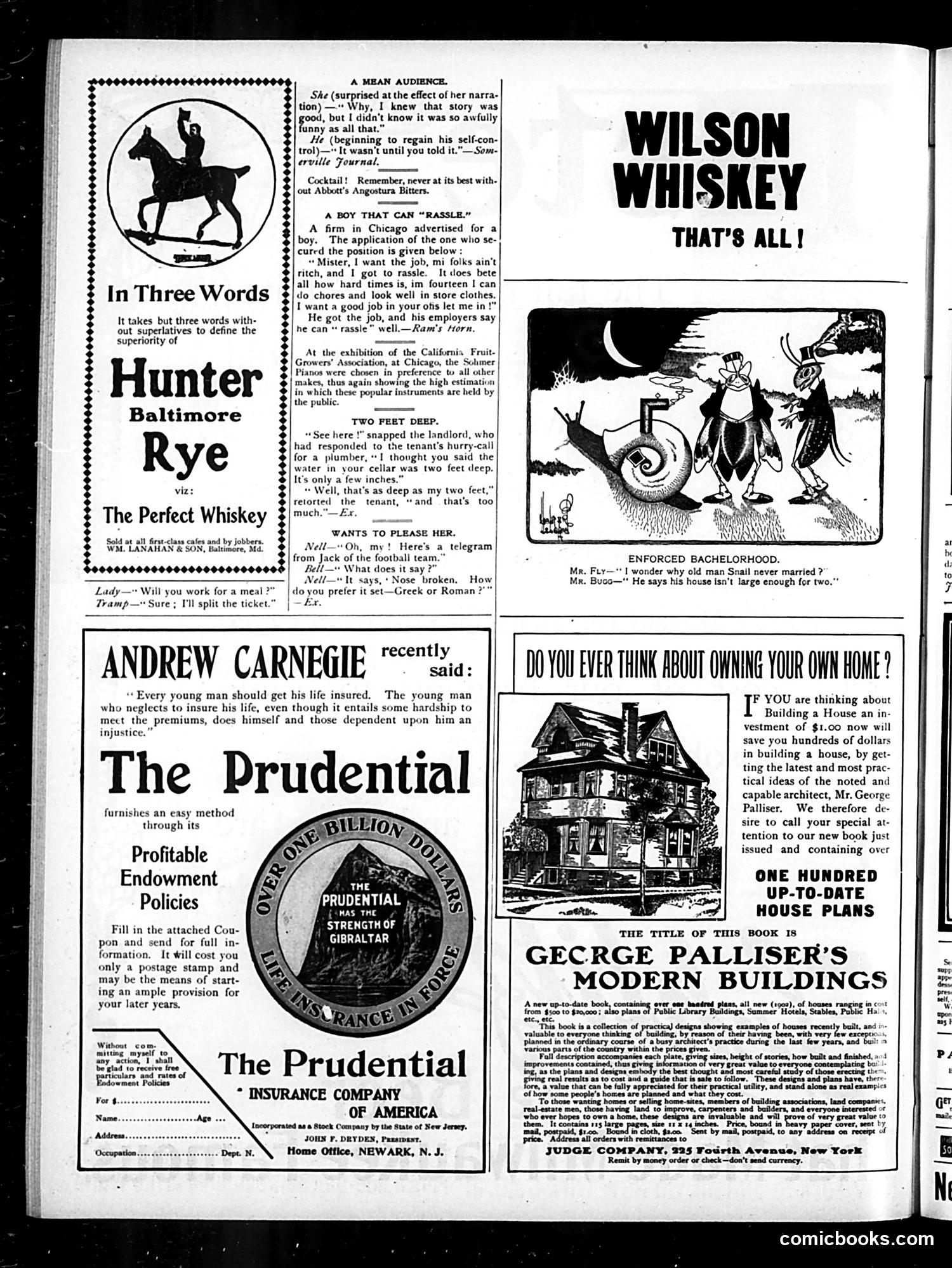 Judge — November 11, 1905 — page 12 of 16