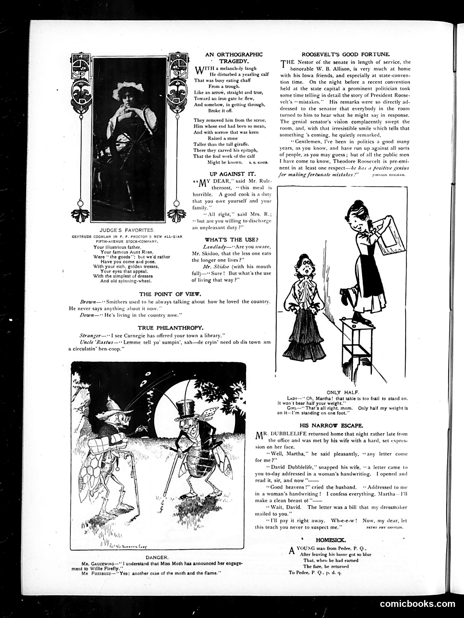 Judge — November 18, 1905 — page 4 of 16