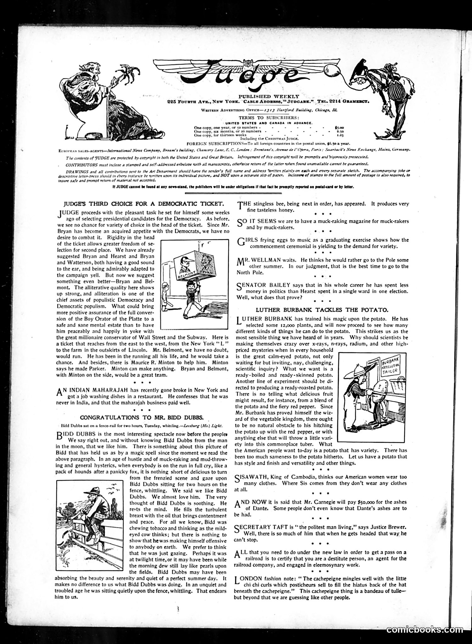 Judge — July 21, 1906 — page 2 of 16