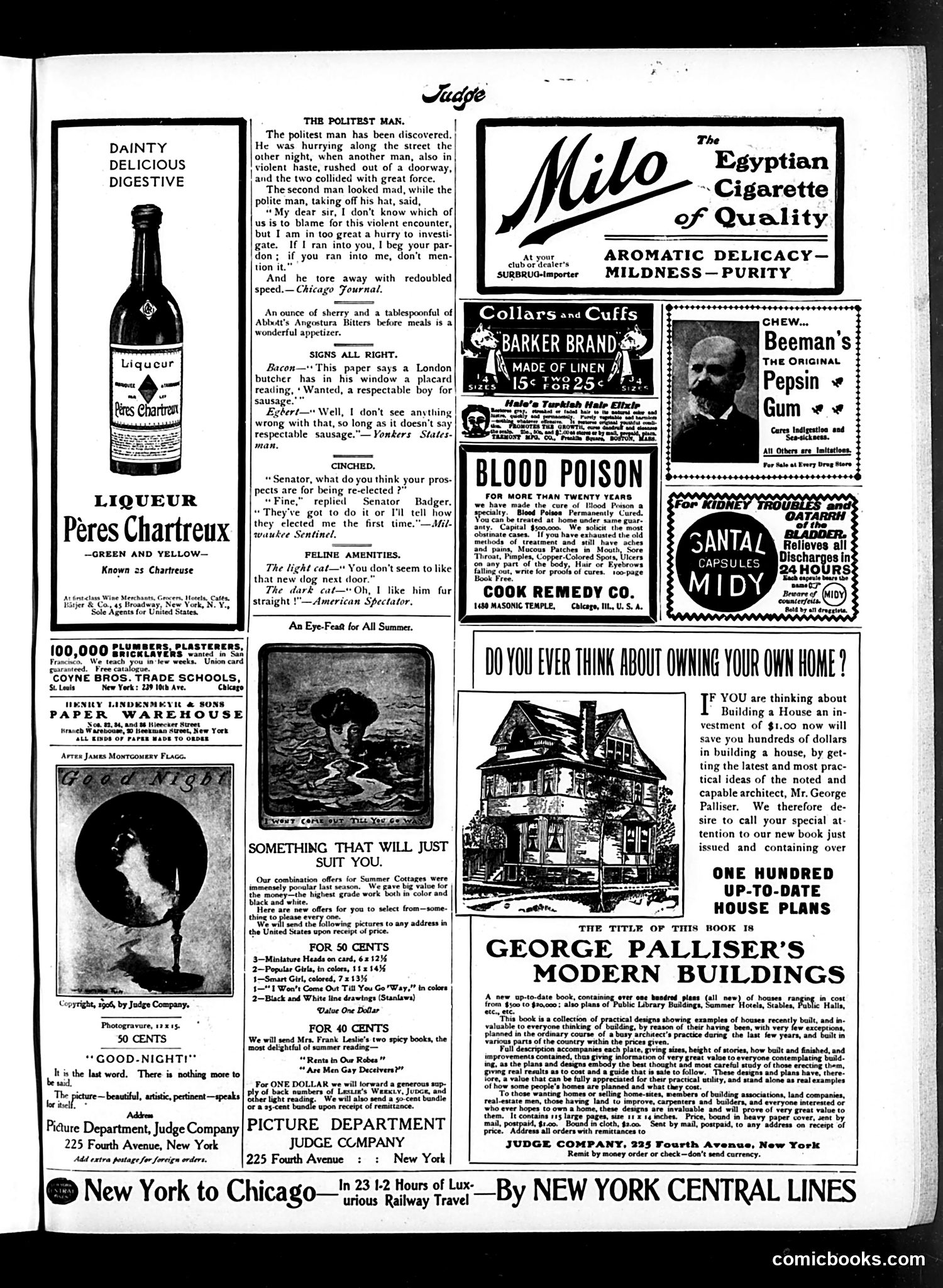 Judge — August 11, 1906 — page 15 of 16