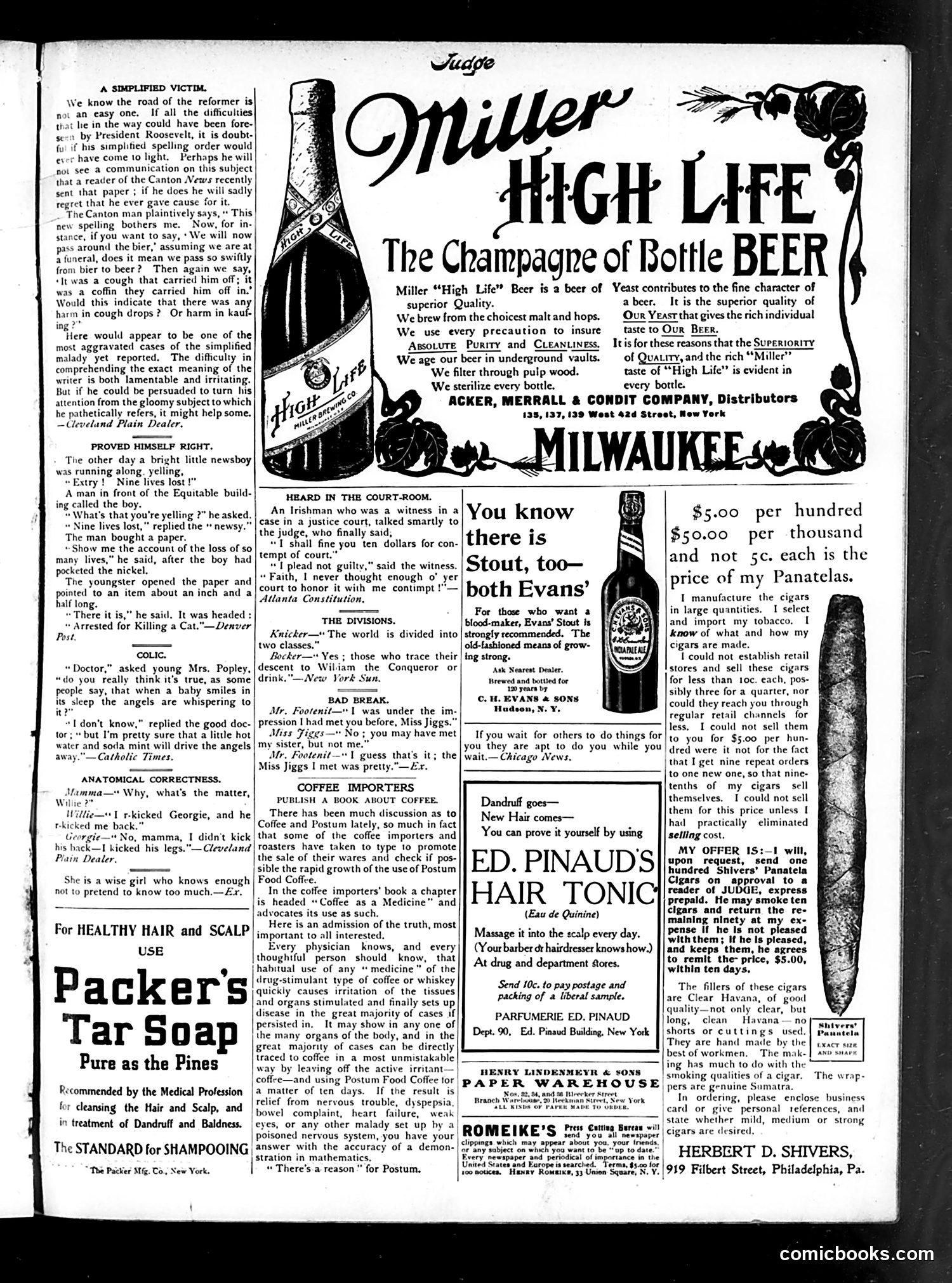 Judge — November 17, 1906 — page 11 of 16