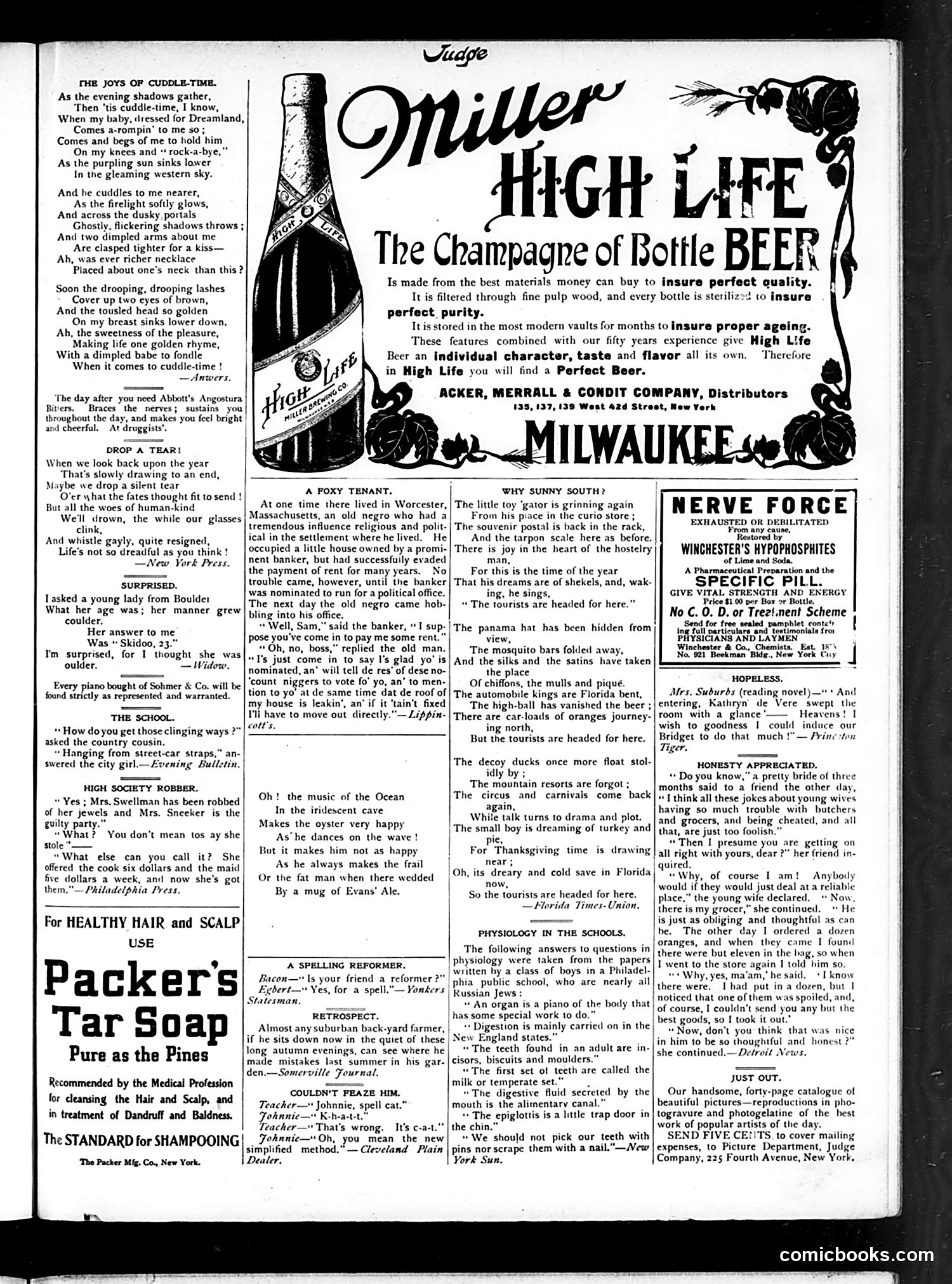 Judge — December 1, 1906 — page 11 of 16