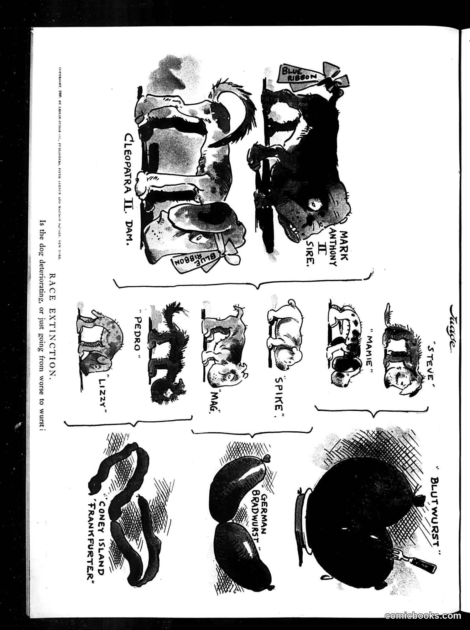 Judge — November 27, 1909 — page 16 of 16