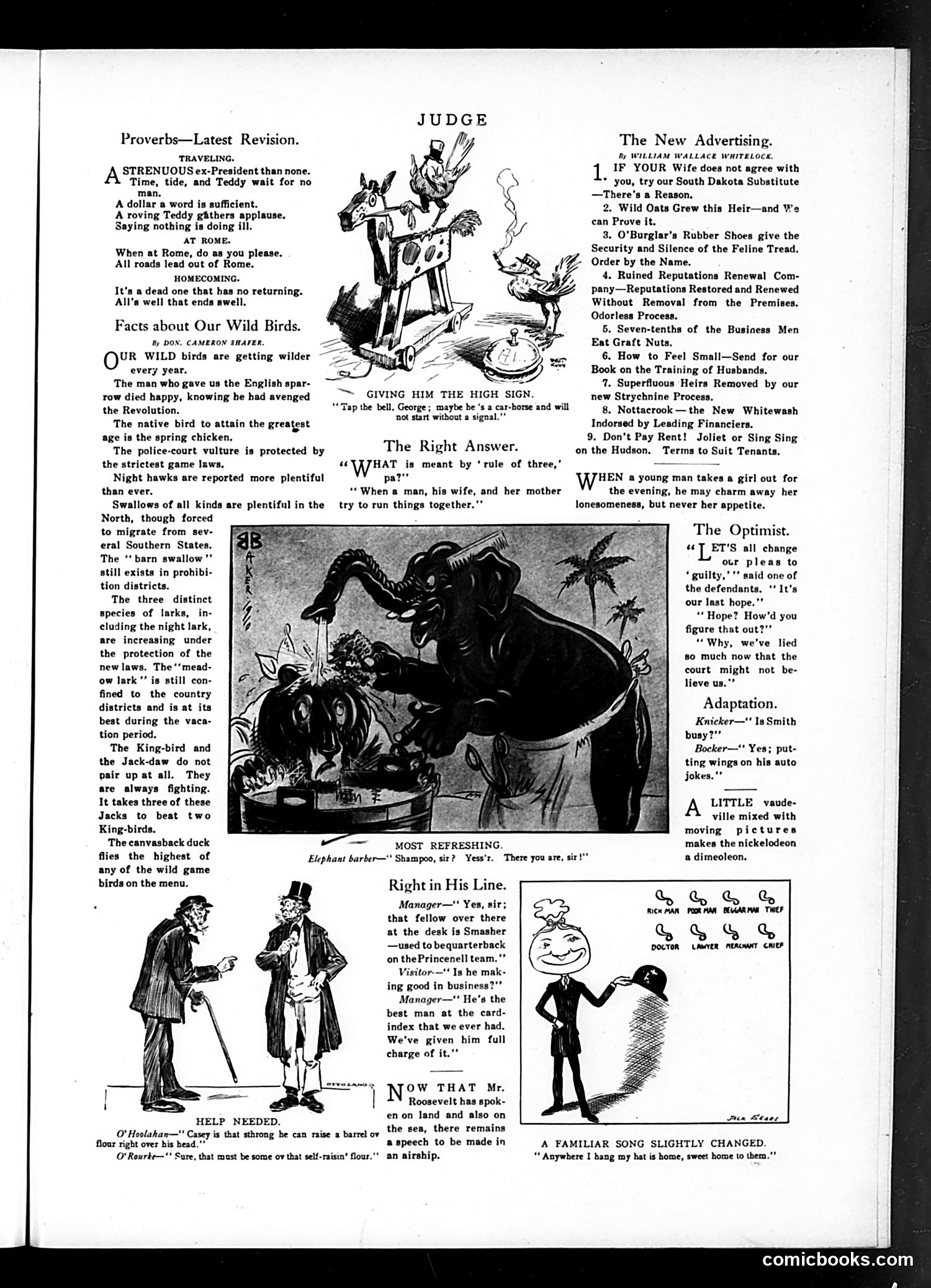 Judge — July 9, 1910 — page 11 of 16
