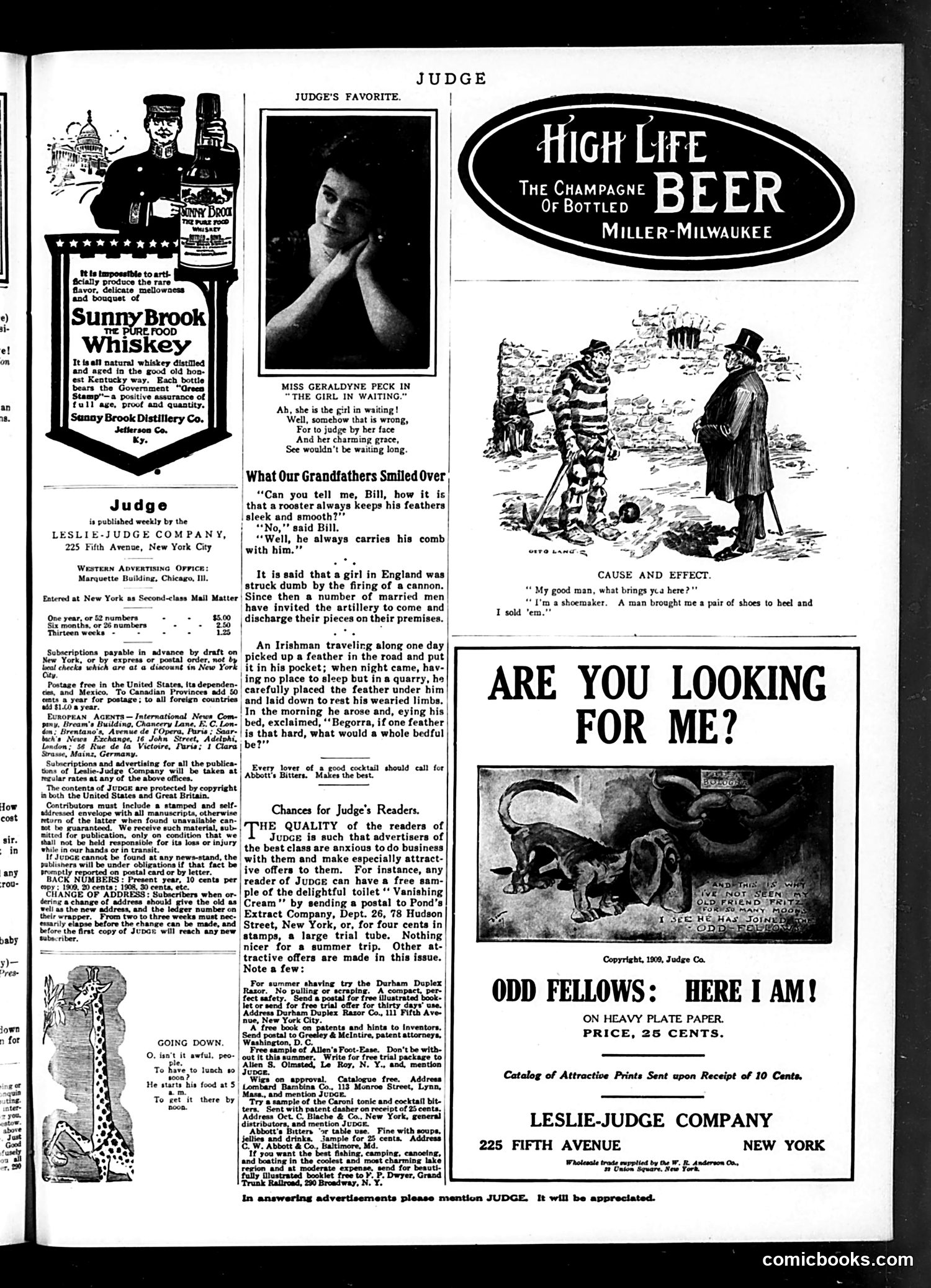 Judge — July 9, 1910 — page 15 of 16