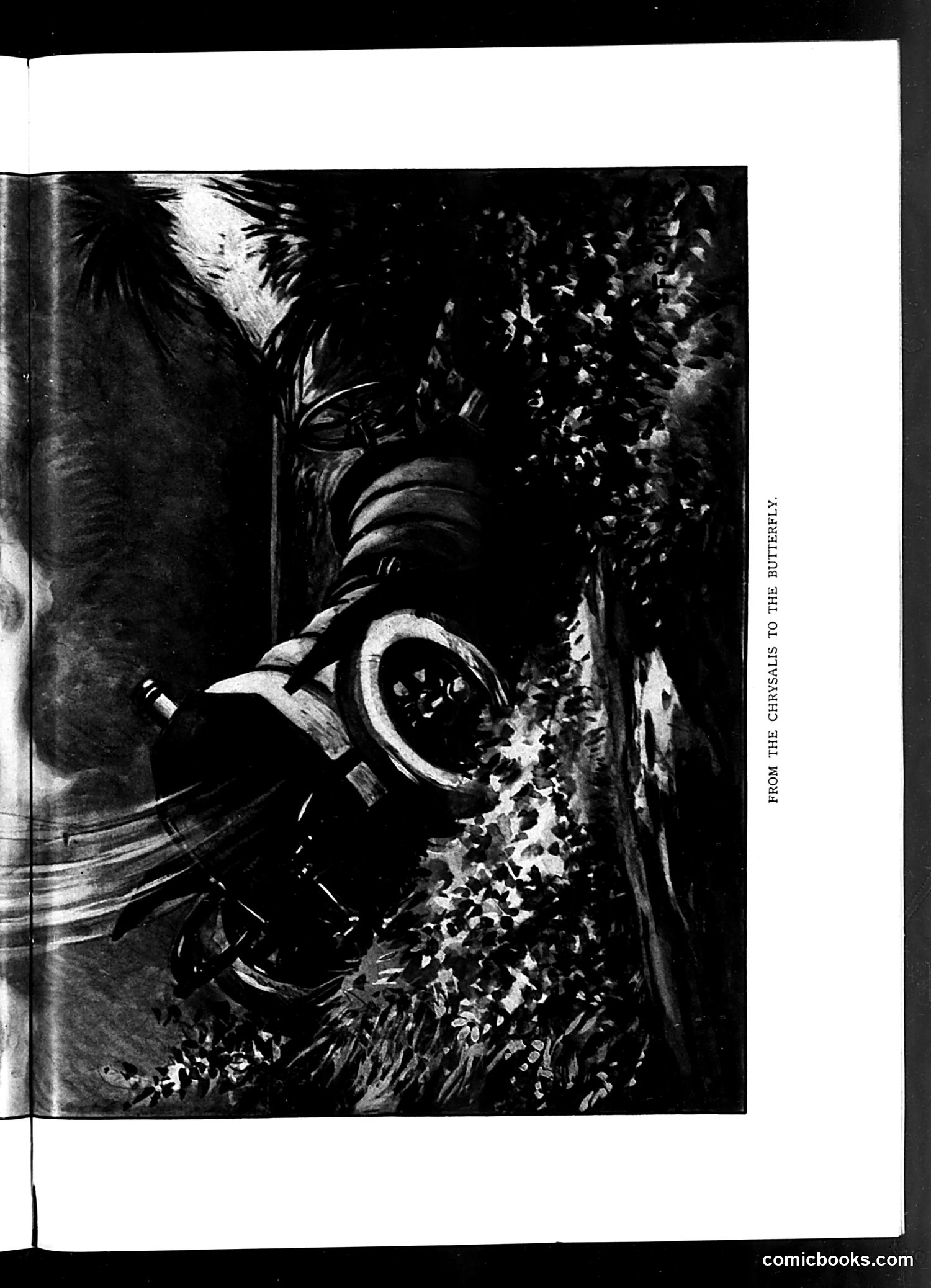 Judge — August 6, 1910 — page 9 of 18