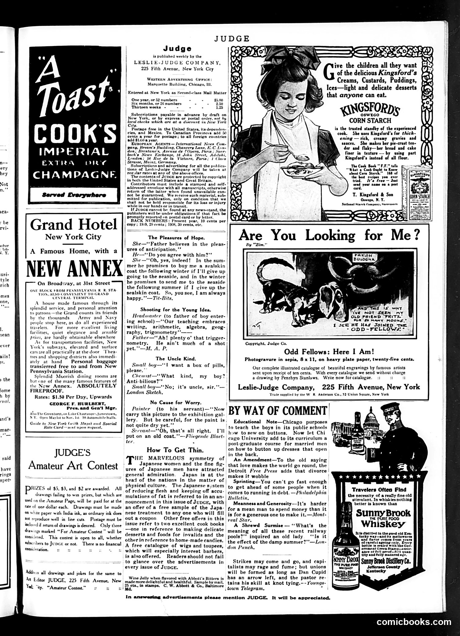 Judge — October 15, 1910 — page 17 of 18