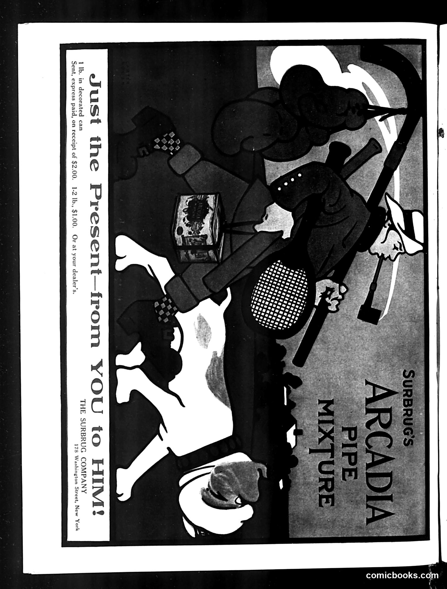 Judge — November 19, 1910 — page 24 of 24
