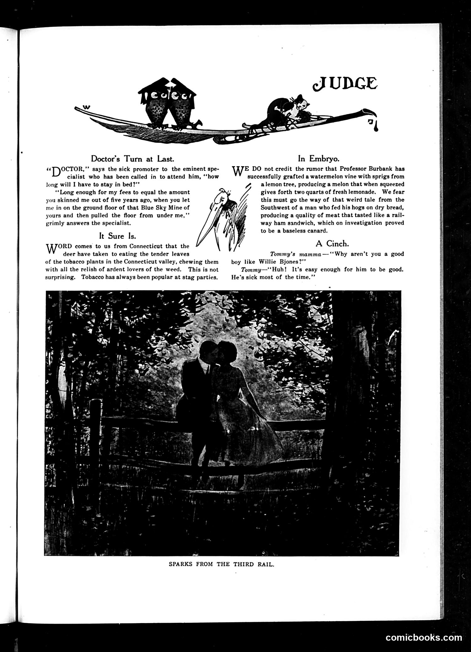 Judge — September 30, 1911 — page 5 of 23