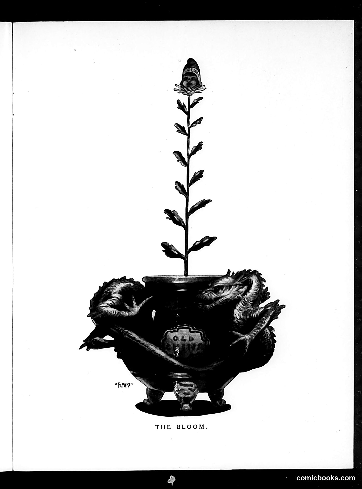 Judge — December 2, 1911 — page 11 of 24