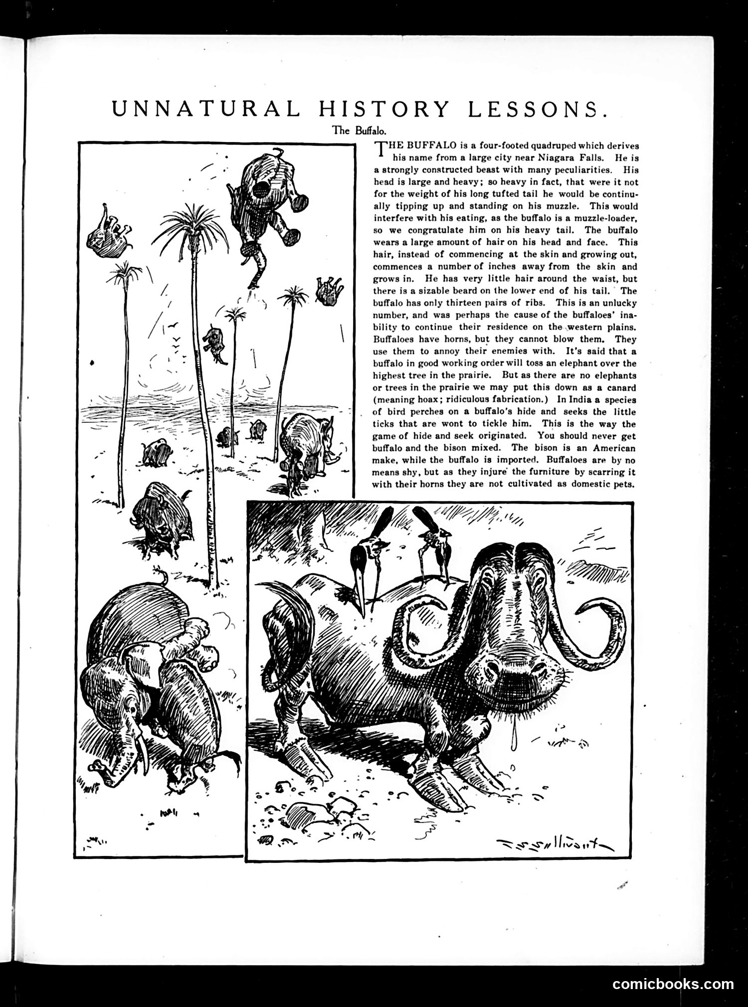 Judge — March 9, 1912 — page 17 of 24